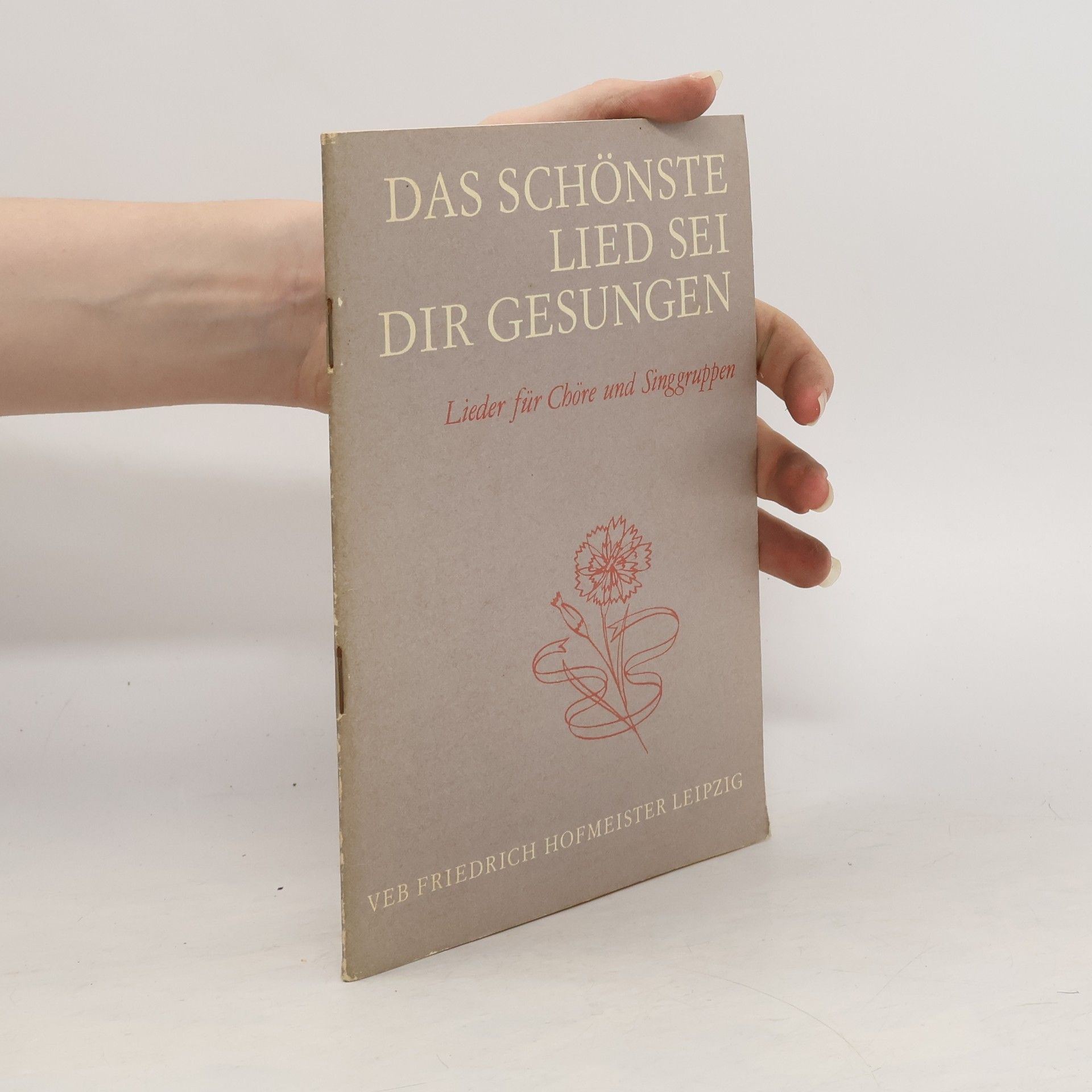 AA.VV. Das schönste Lied sei Dir gesungen