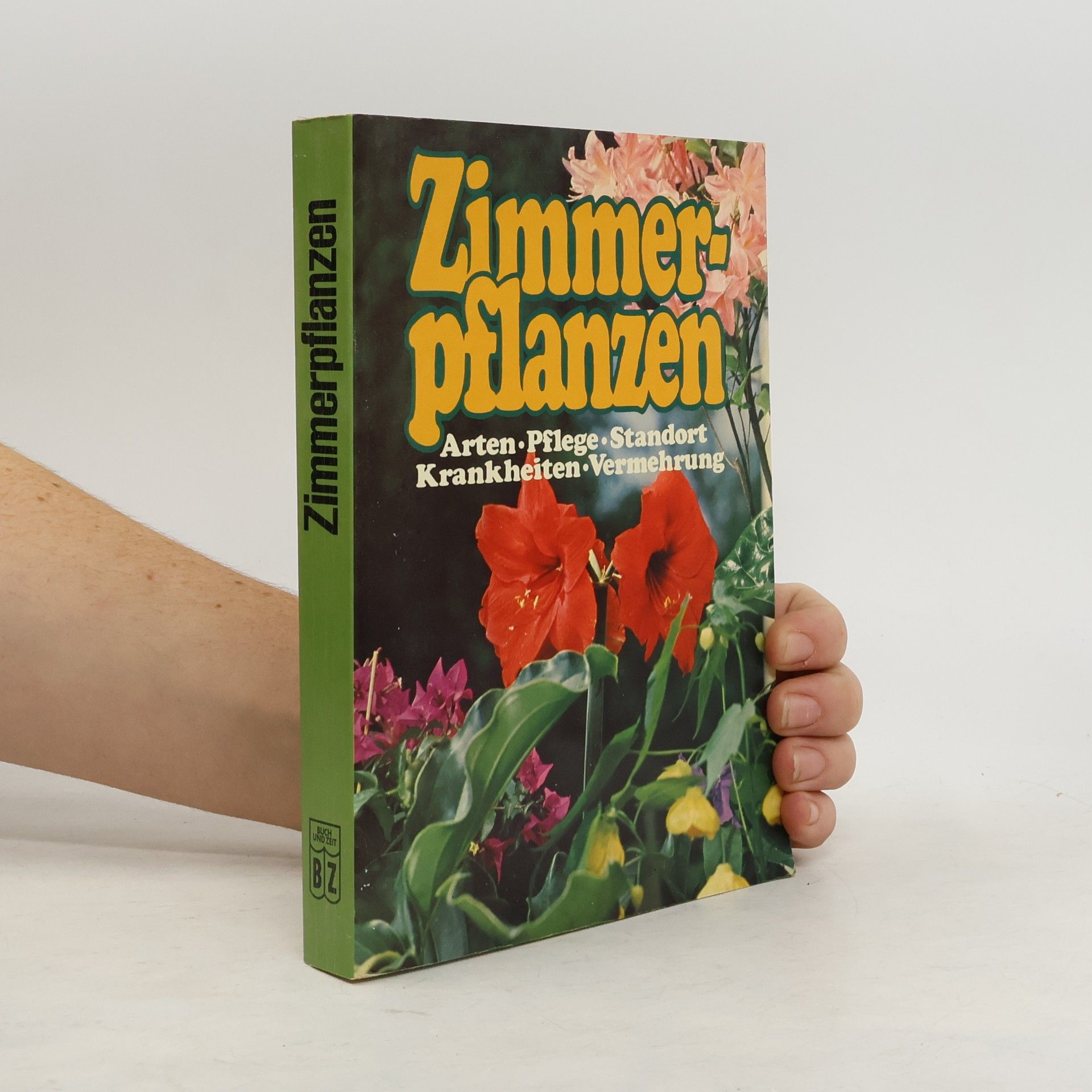 Zimmerpflanzen und ihre Pflege