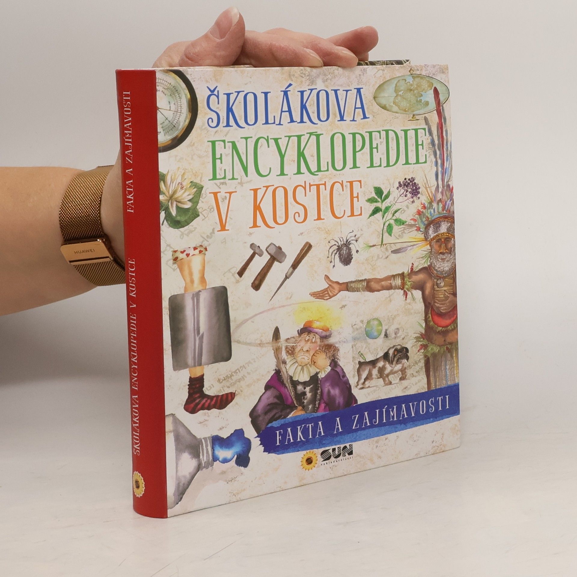 Školákova encyklopedie v kostce