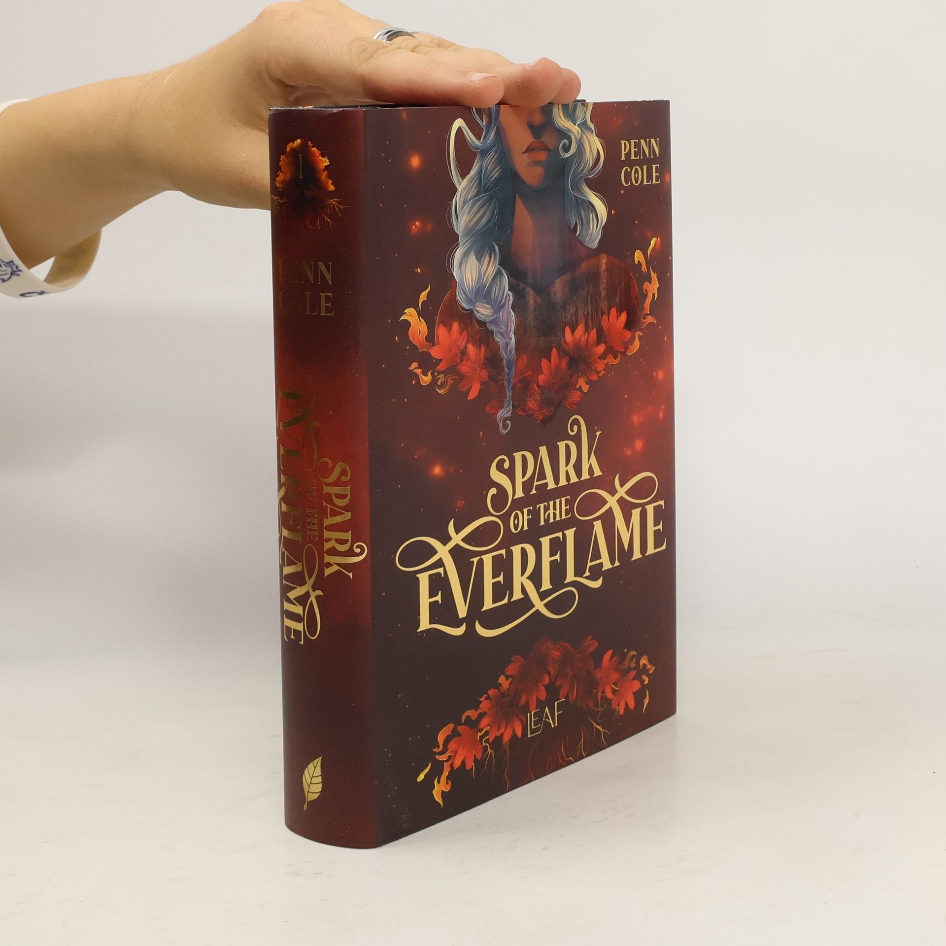 Penn Cole Spark of the Everflame / Kindred´s Curse Saga Bd.1