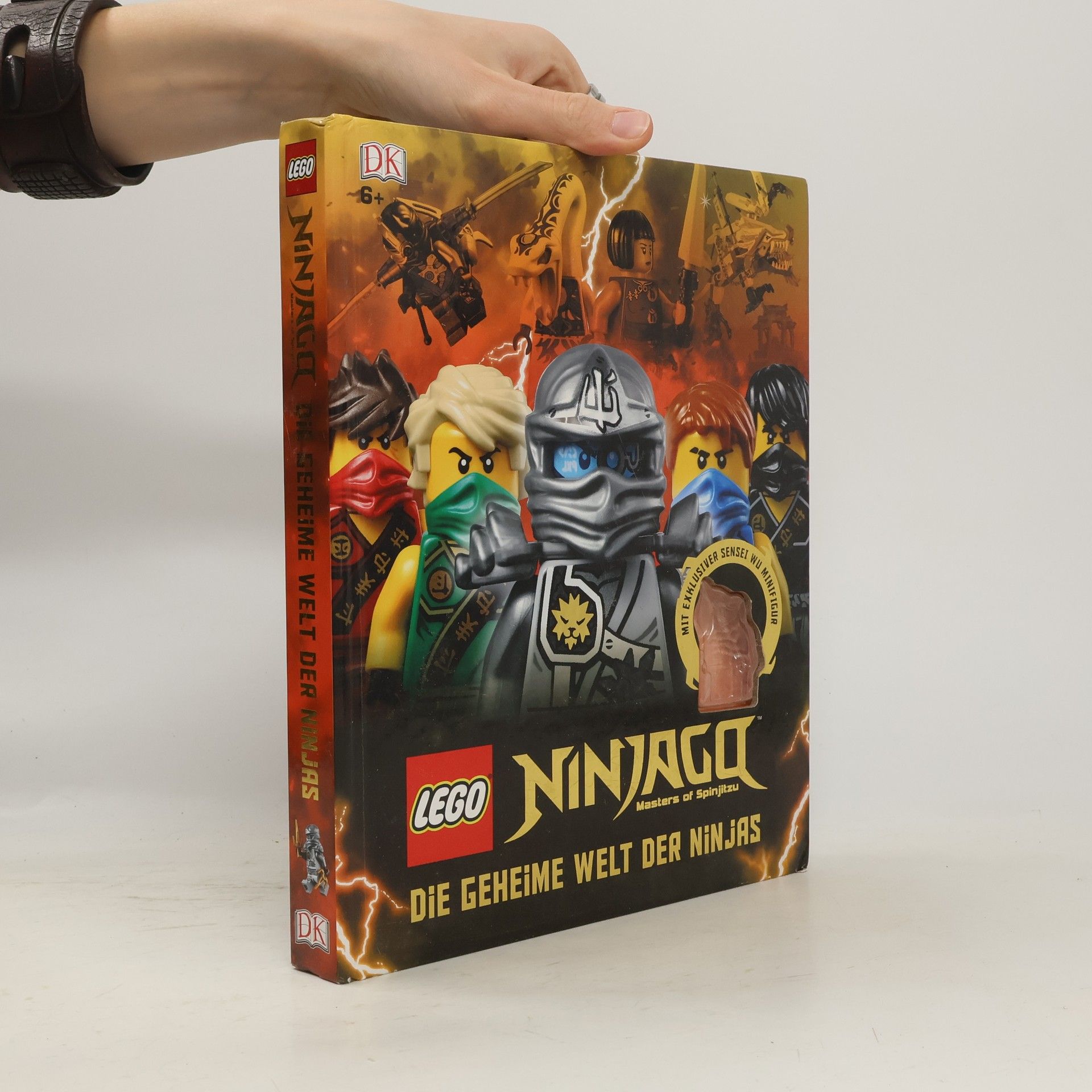 Beth Landis Hester LEGO Ninjago masters of Spinjitzu - die geheime Welt der Ninjas