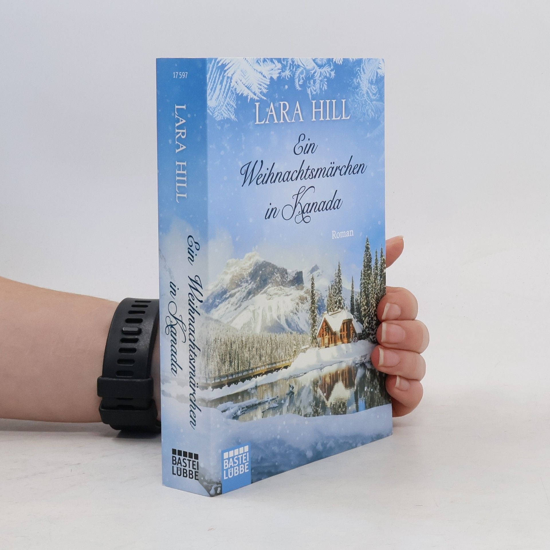 Lara Hill Ein Weihnachtsmärchen in Kanada