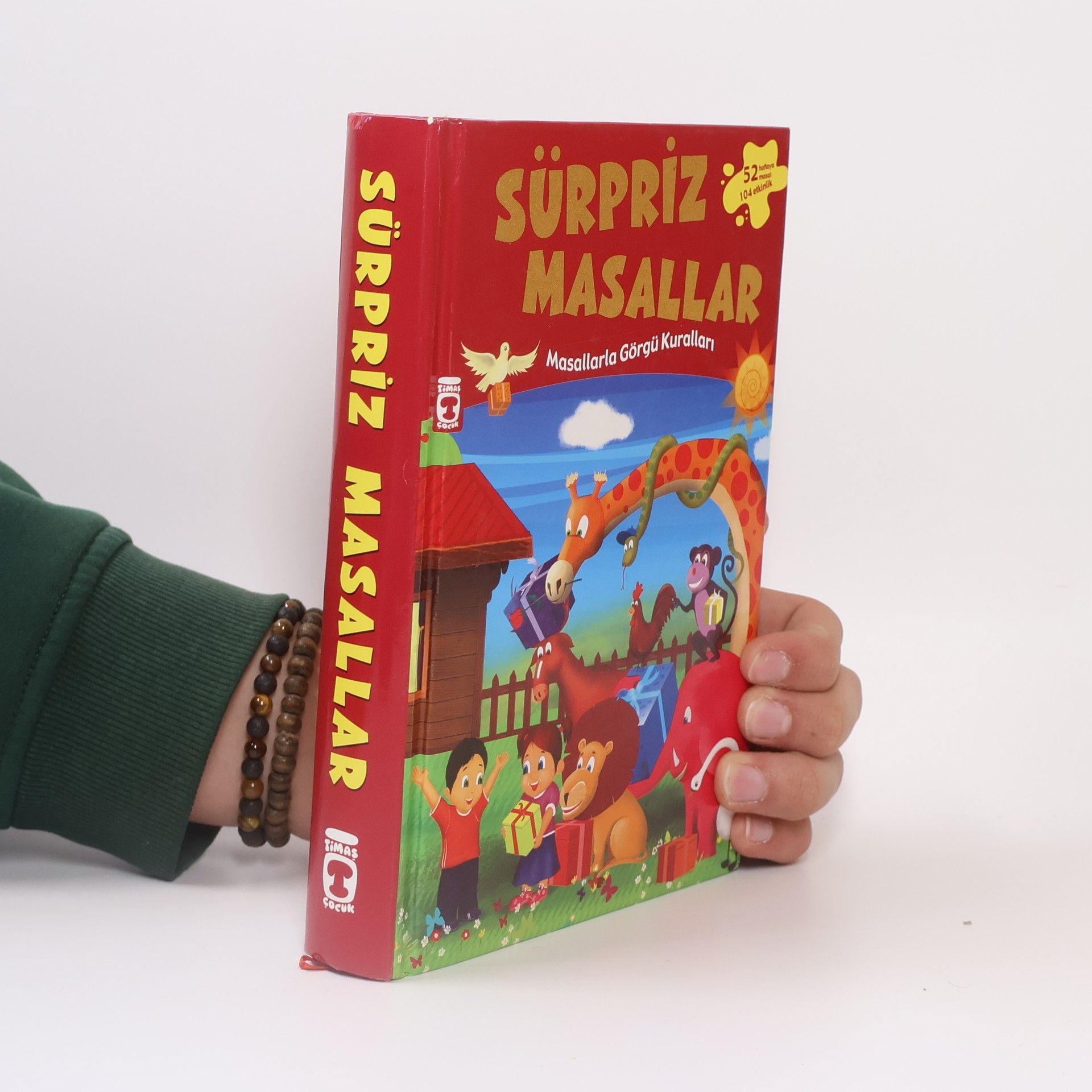 Münire Şafak Sürpriz Masallar