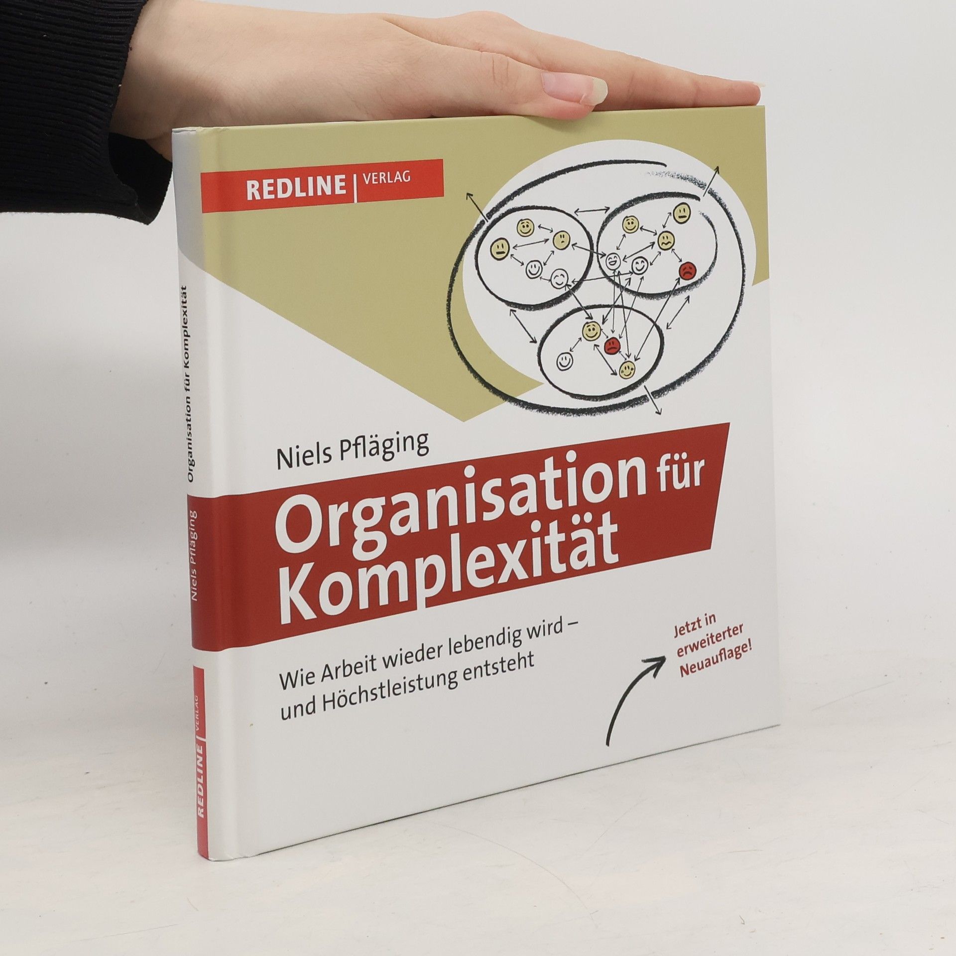 Niels Pfläging Organisation für Komplexität