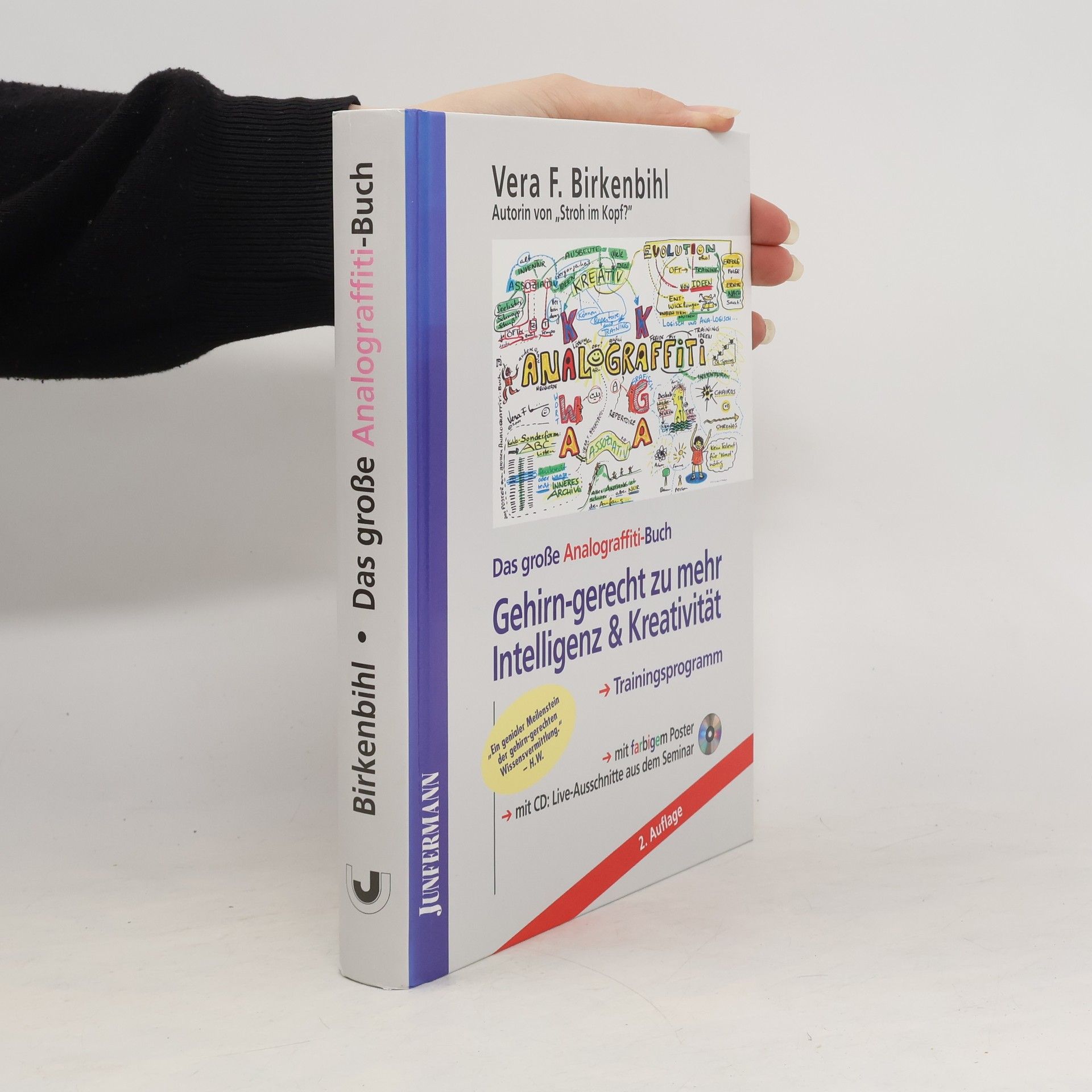 Kolektiv autorů Das große Analograffiti-Buch