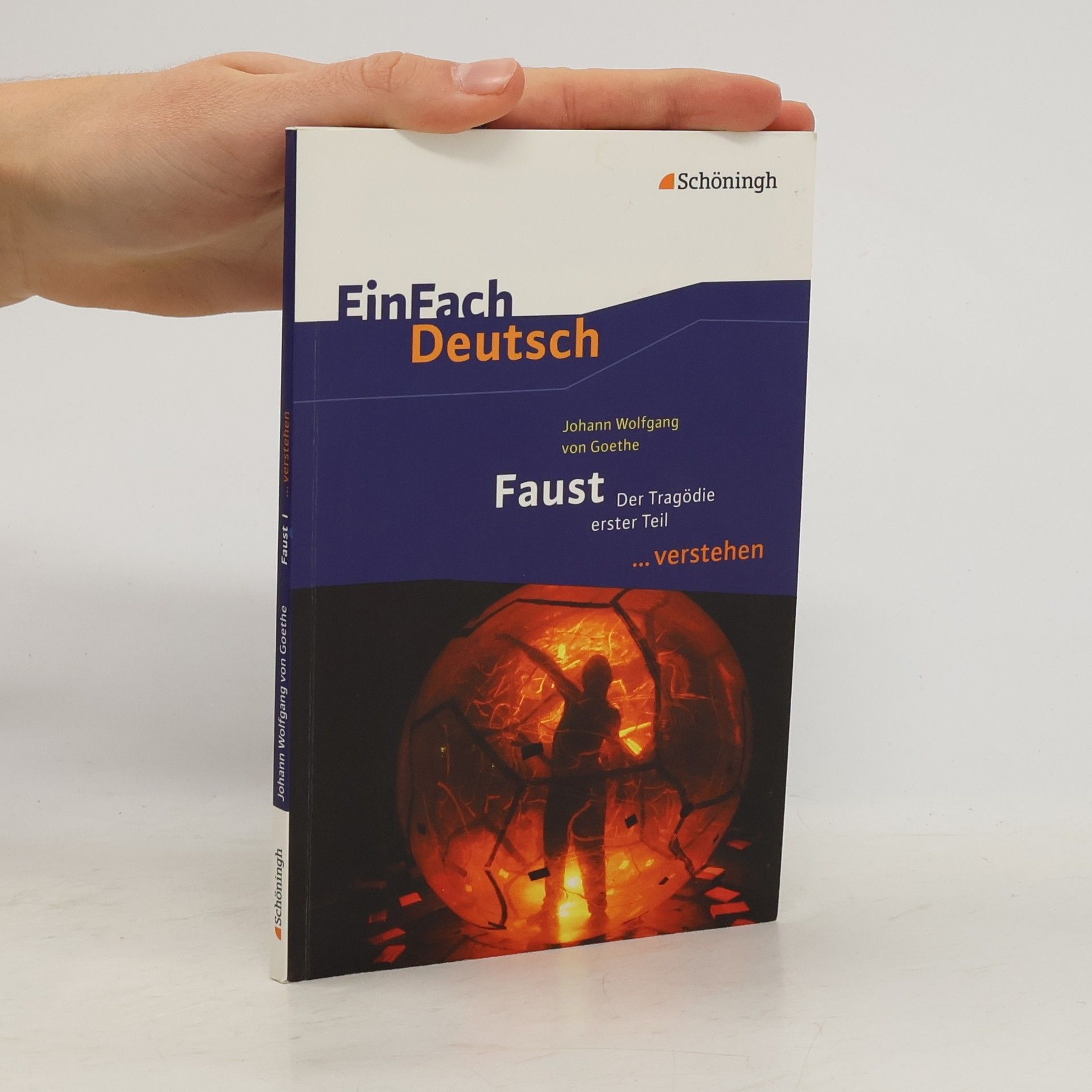Johann Wolfgang von Goethe EinFach Deutsch. Faust I.