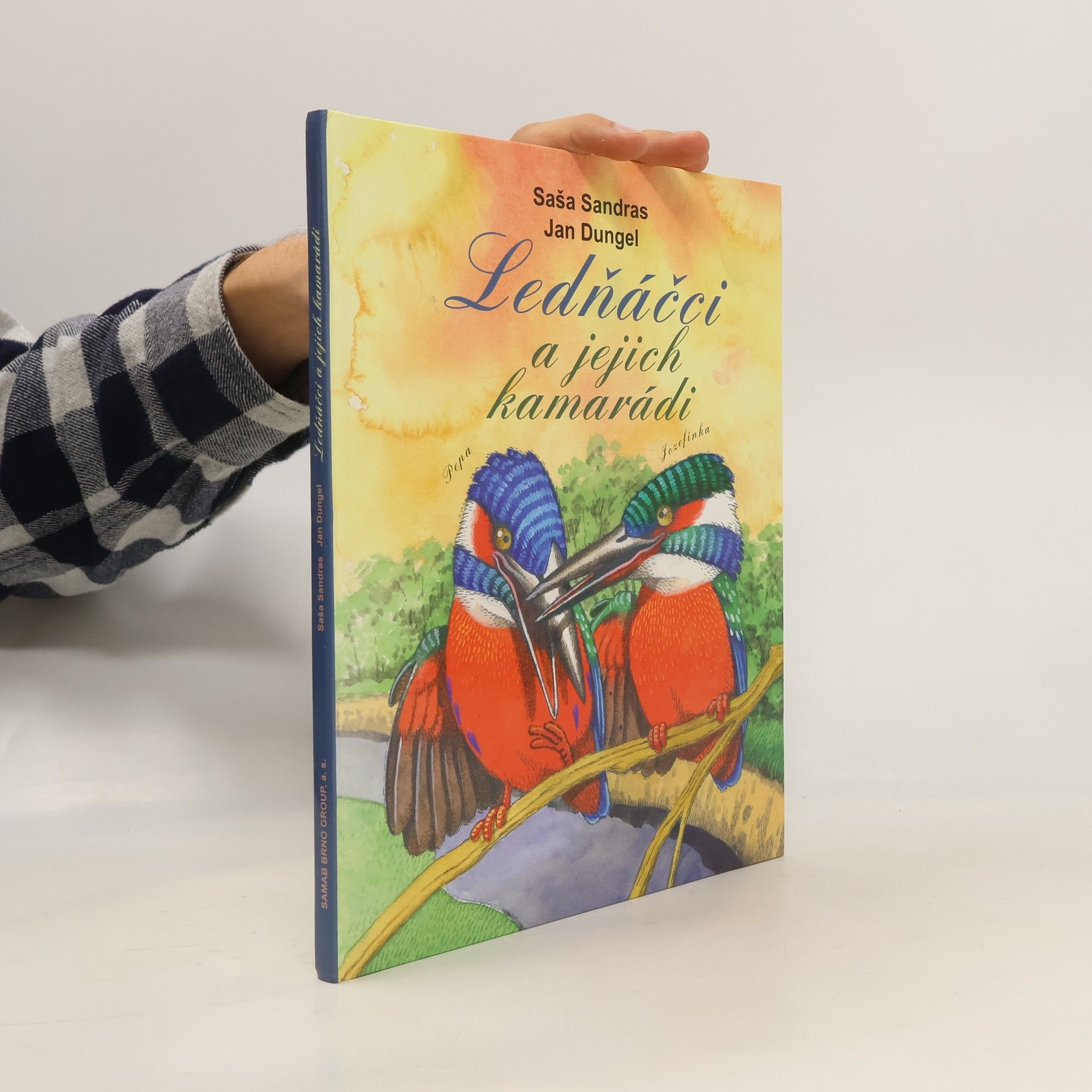 Ledňáčci a jejich kamarádi