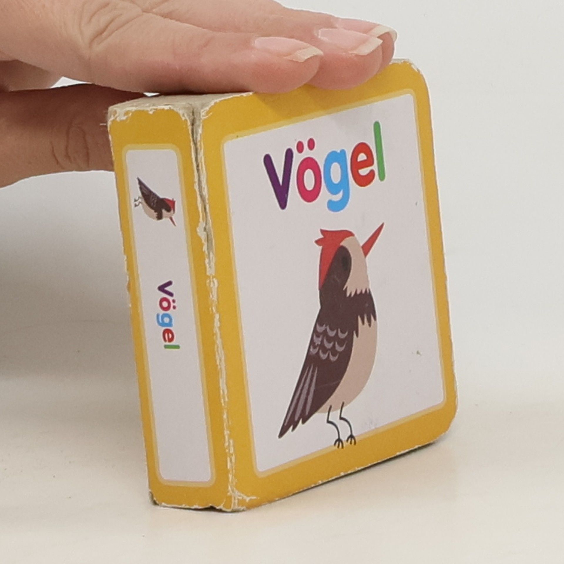 Autorenkollektiv Vögel