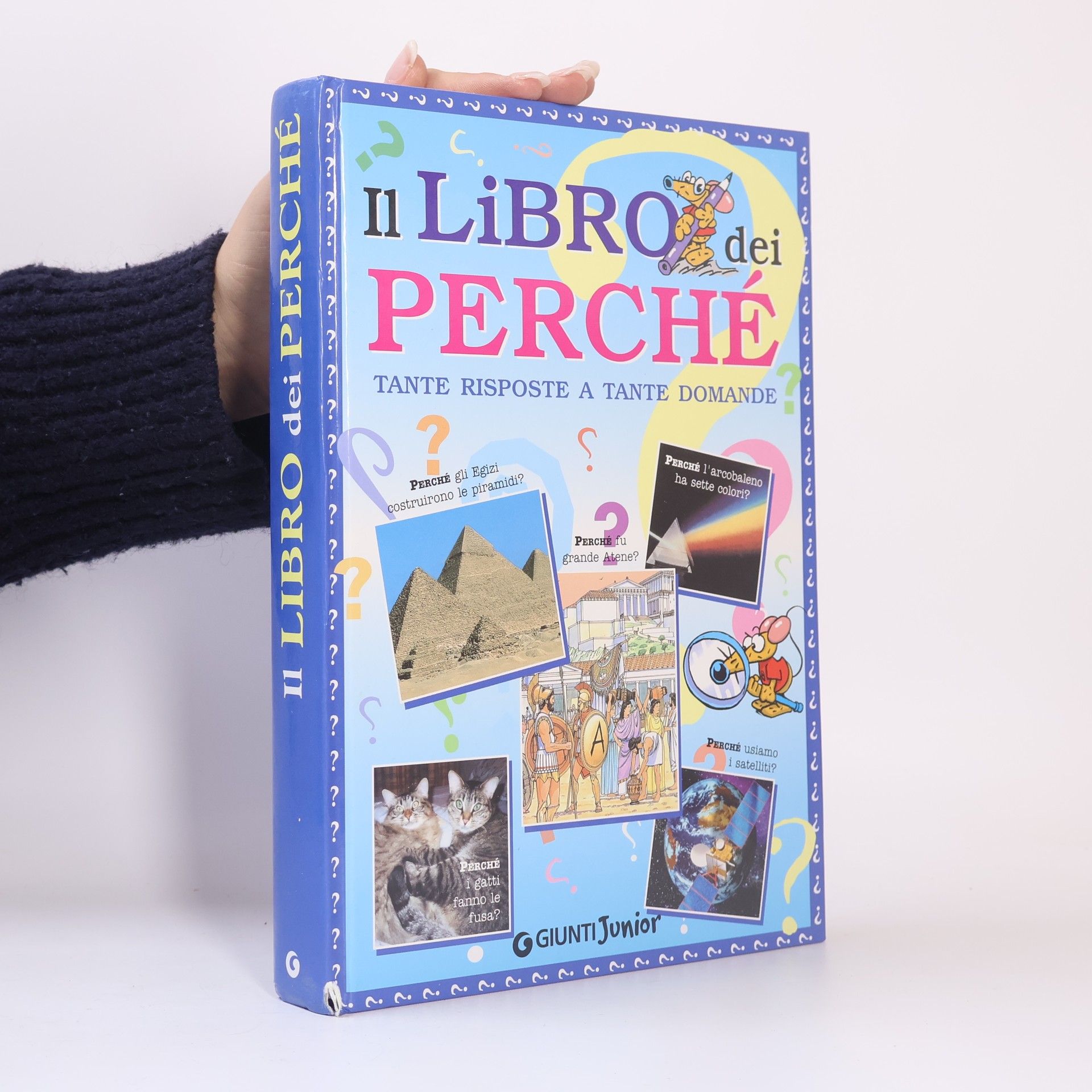 Michele Lauro Il libro dei perché