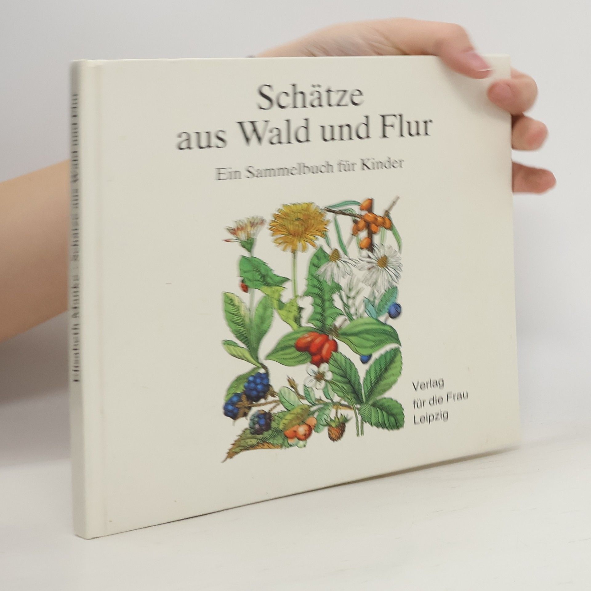 Elisabeth Manke Schätze aus Wald und Flur