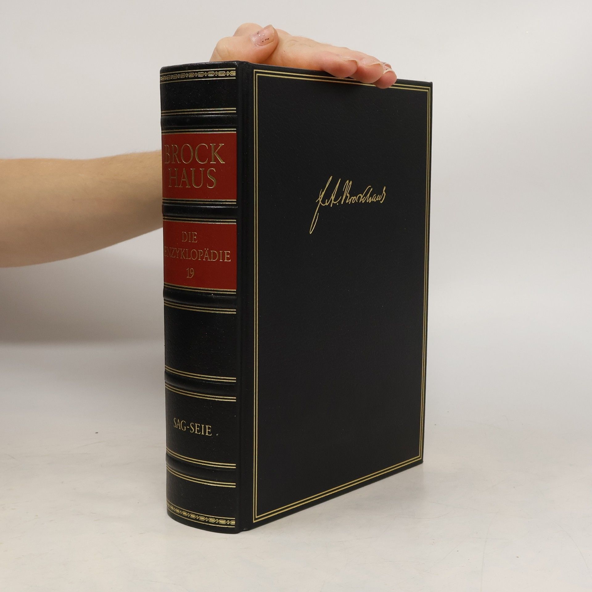 Kolektív autorov Brockhaus - die Enzyklopädie 17