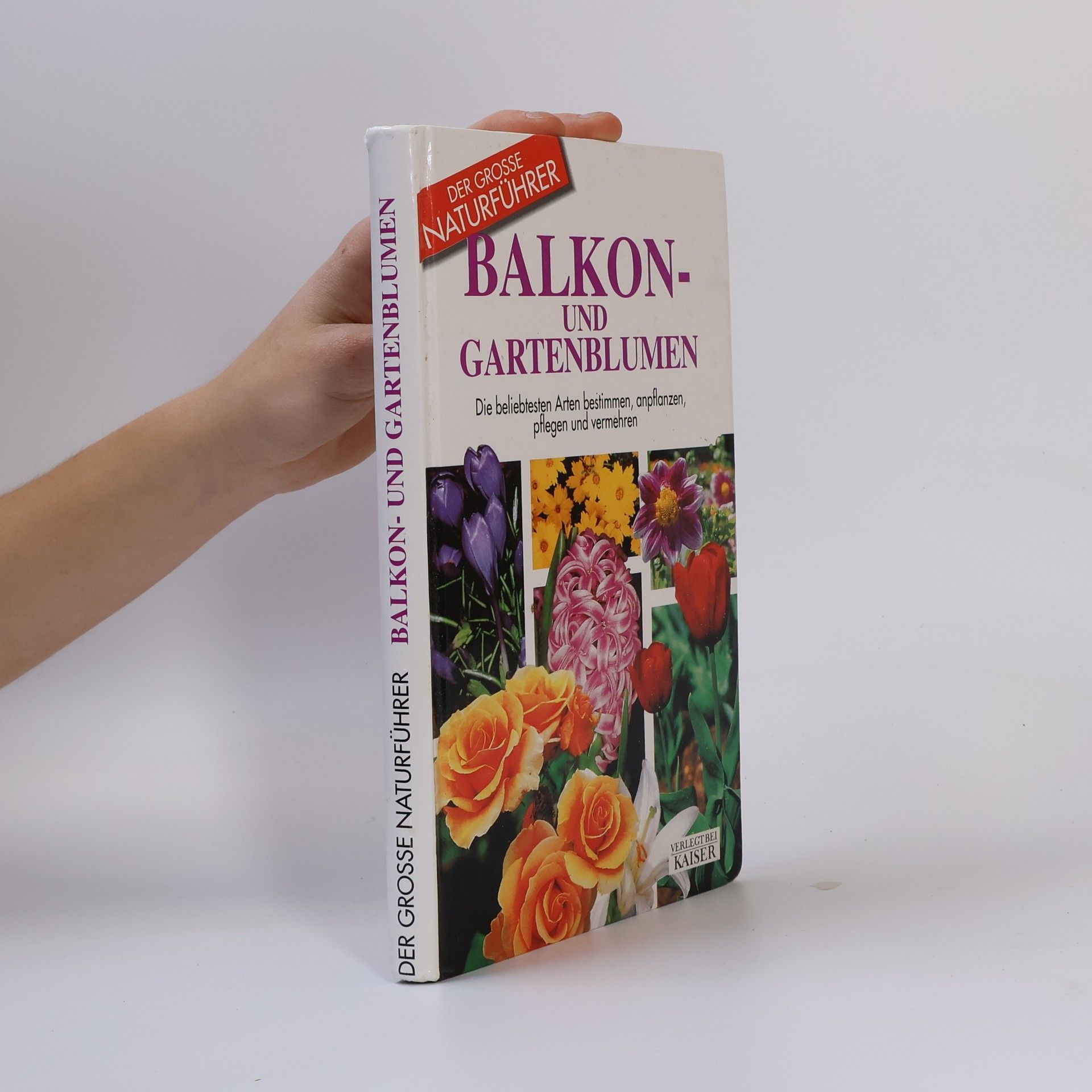 Balkon- und Gartenblumen