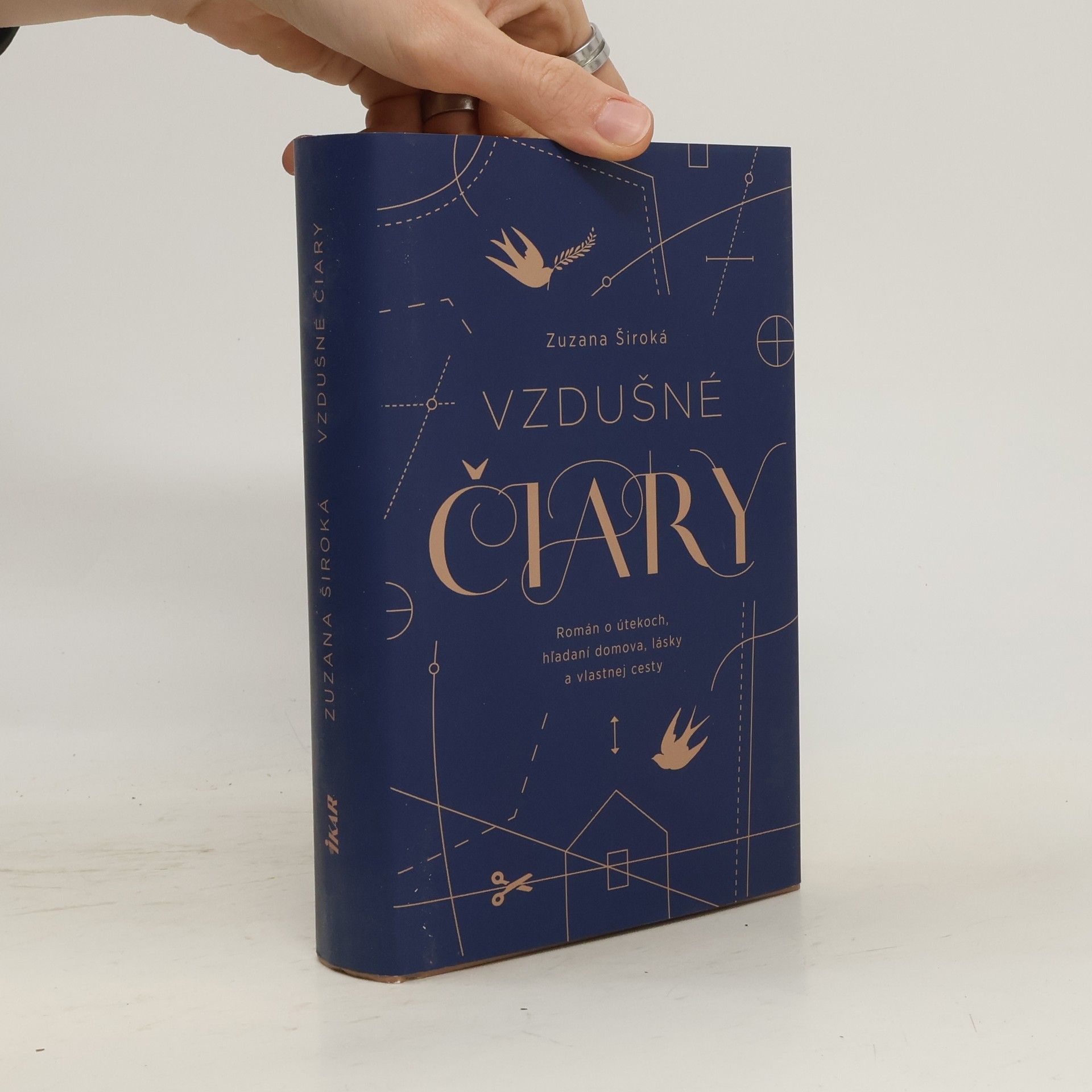 Zuzana Široká Vzdušné čiary