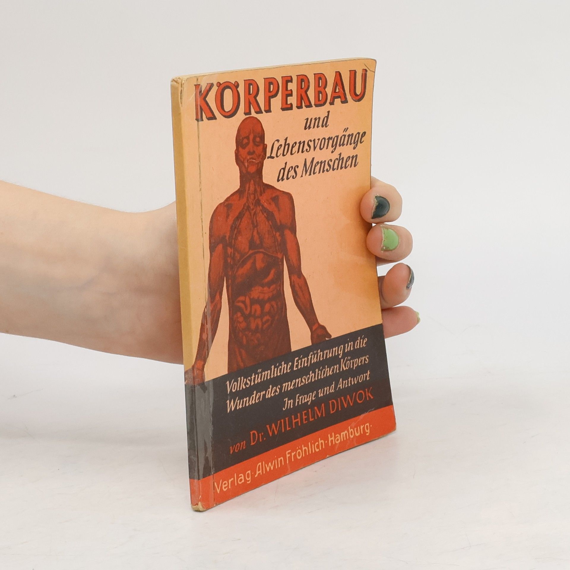 Körperbau und Lebensvorgänge des Menschen