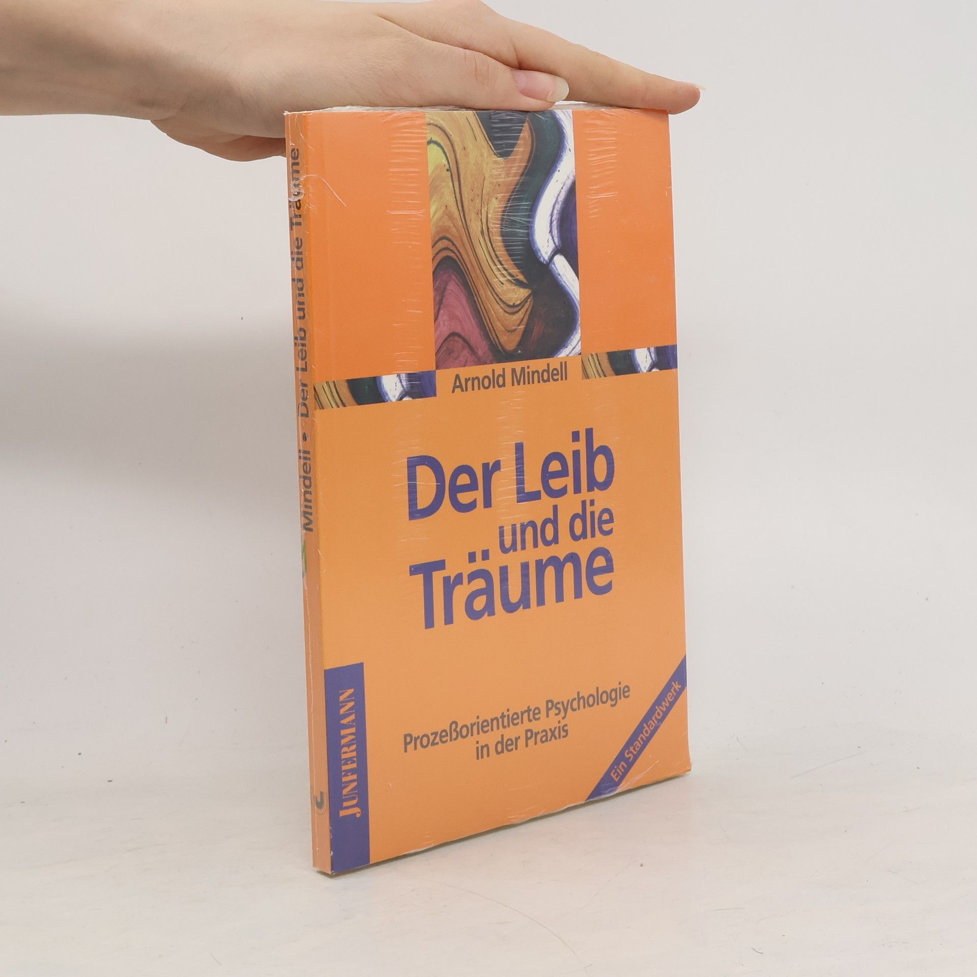 Arnold Mindell Der Leib und die Träume