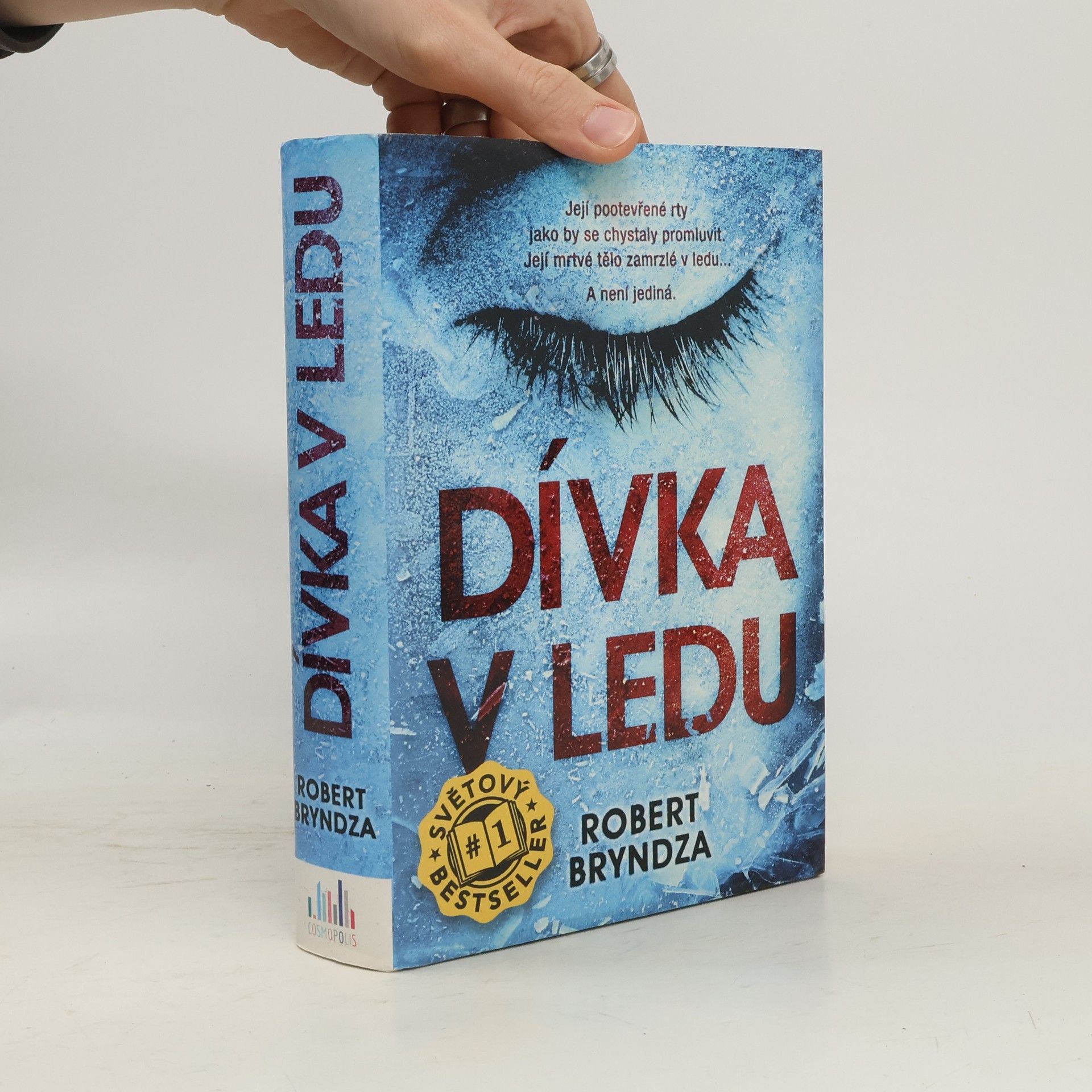 Robert Bryndza Dívka v ledu