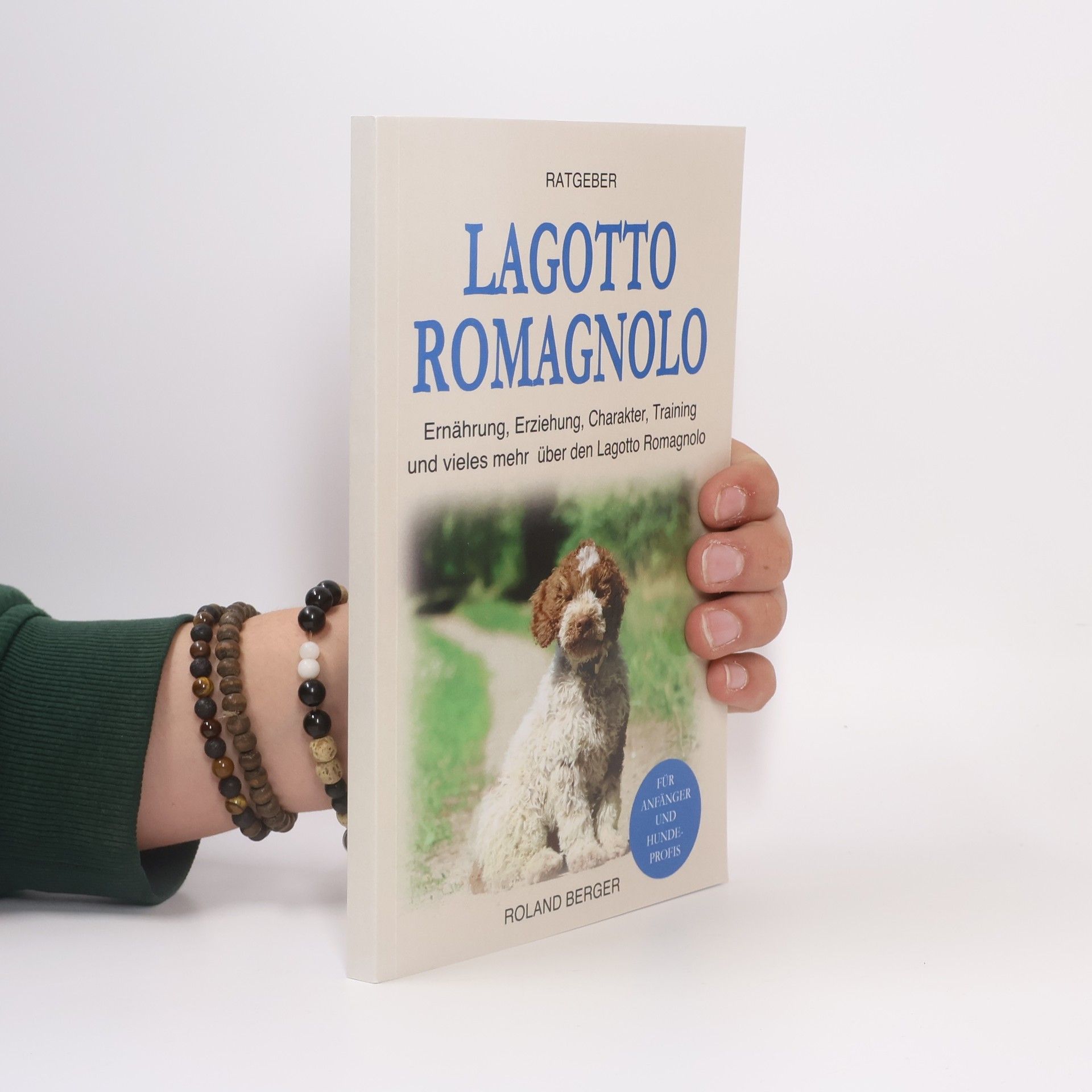 Roland Berger Lagotto Romagnolo