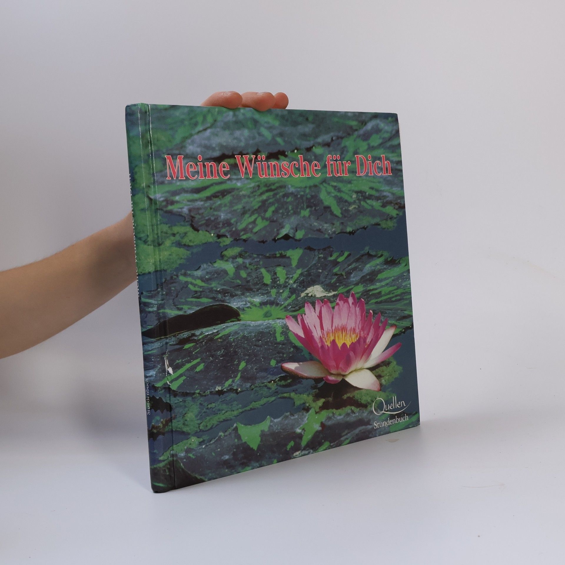 Autorenkollektiv Meine Wünsche für Dich.