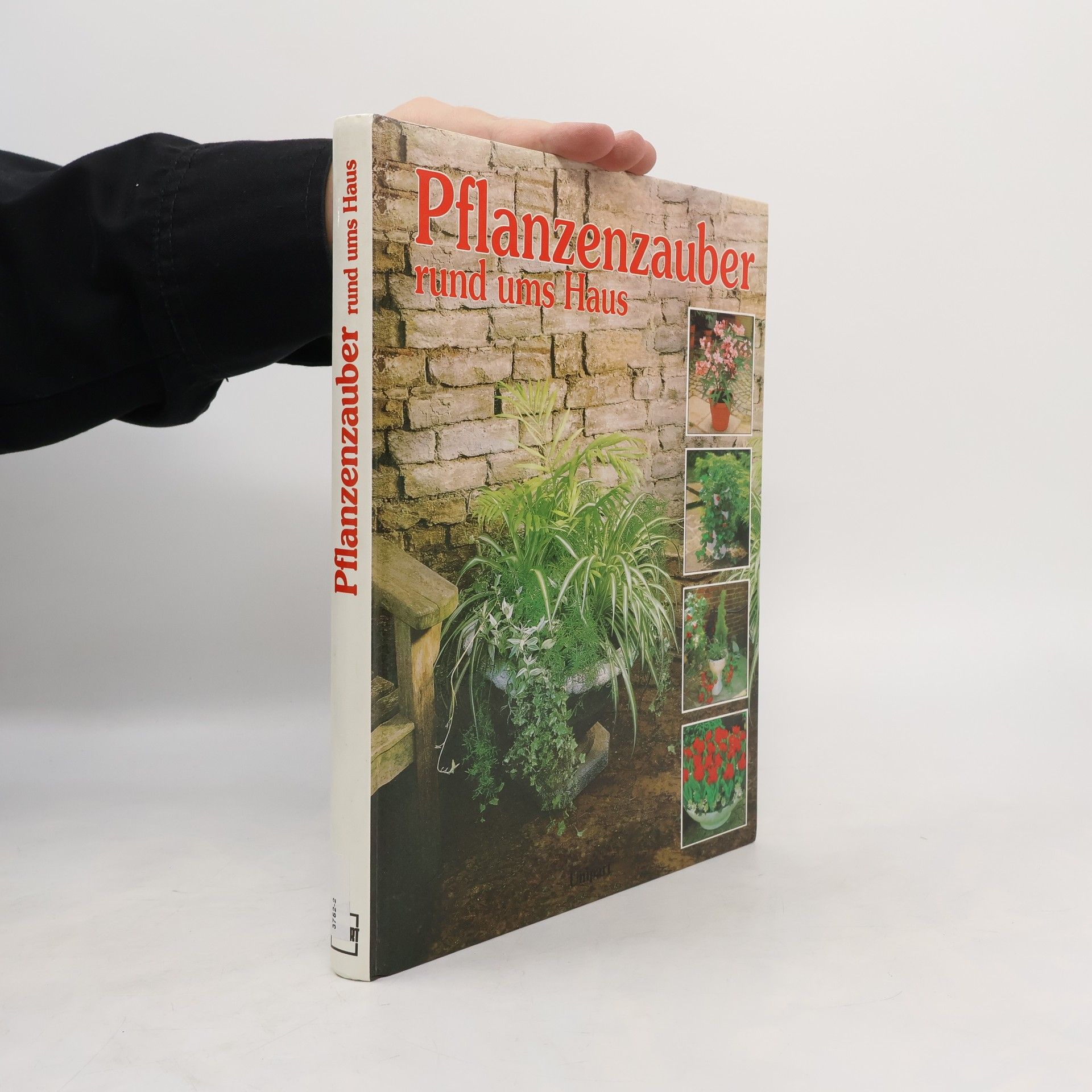 Autorenkollektiv Pflanzenzauber rund ums Haus