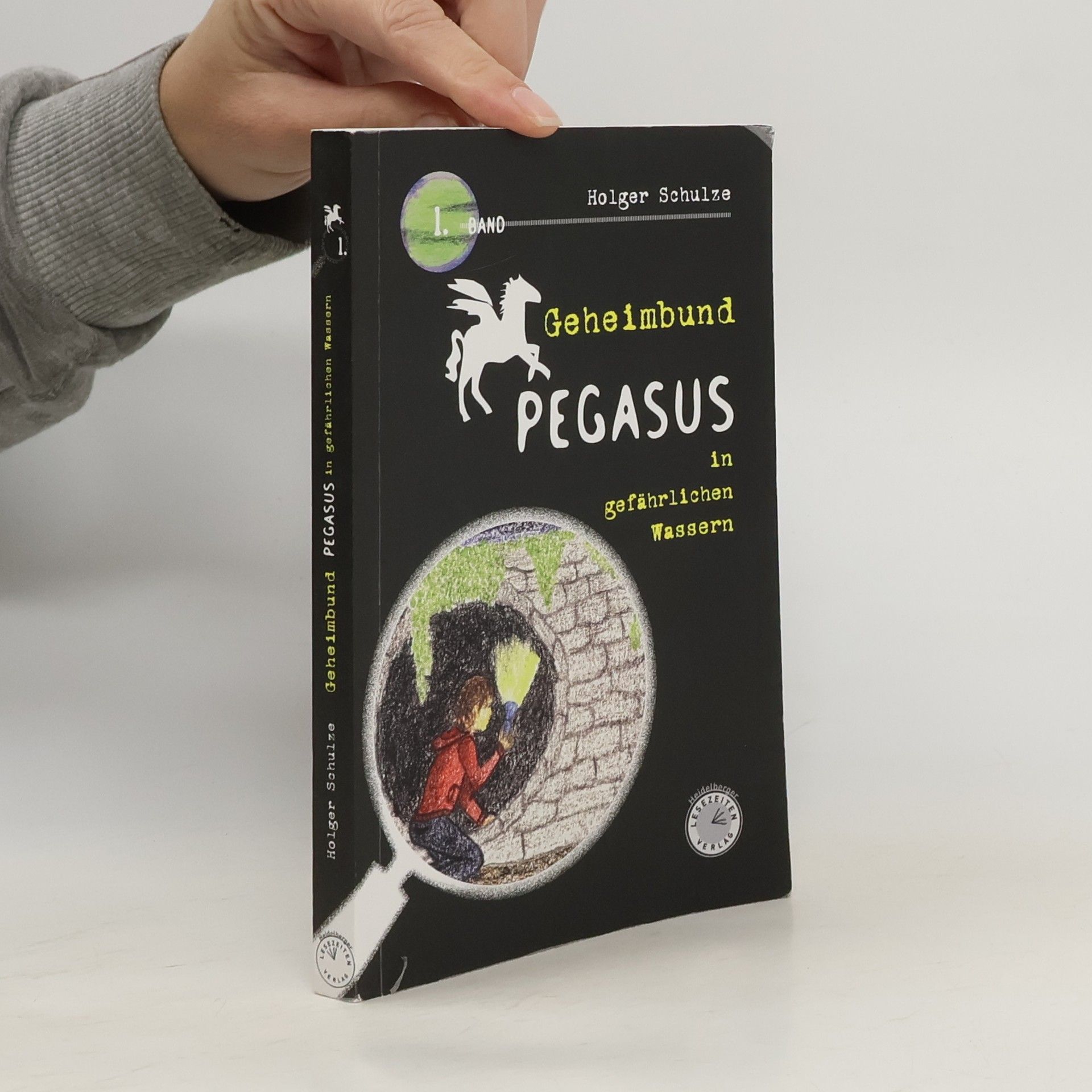 Holger Schulze Geheimbund Pegasus