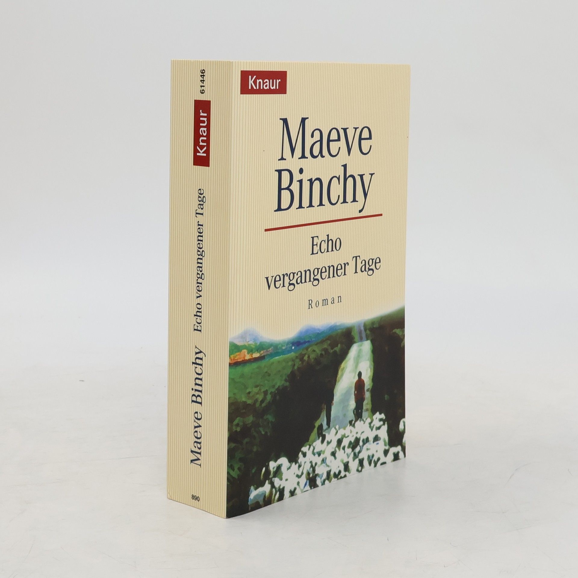 Maeve Binchy Echo vergangener Tage