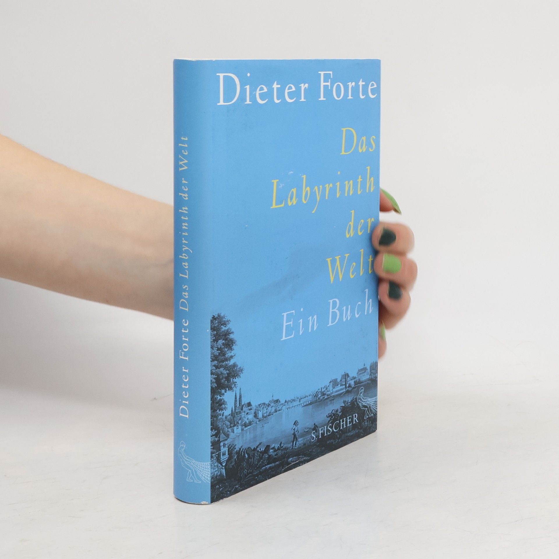 Dieter Forte Das Labyrinth der Welt