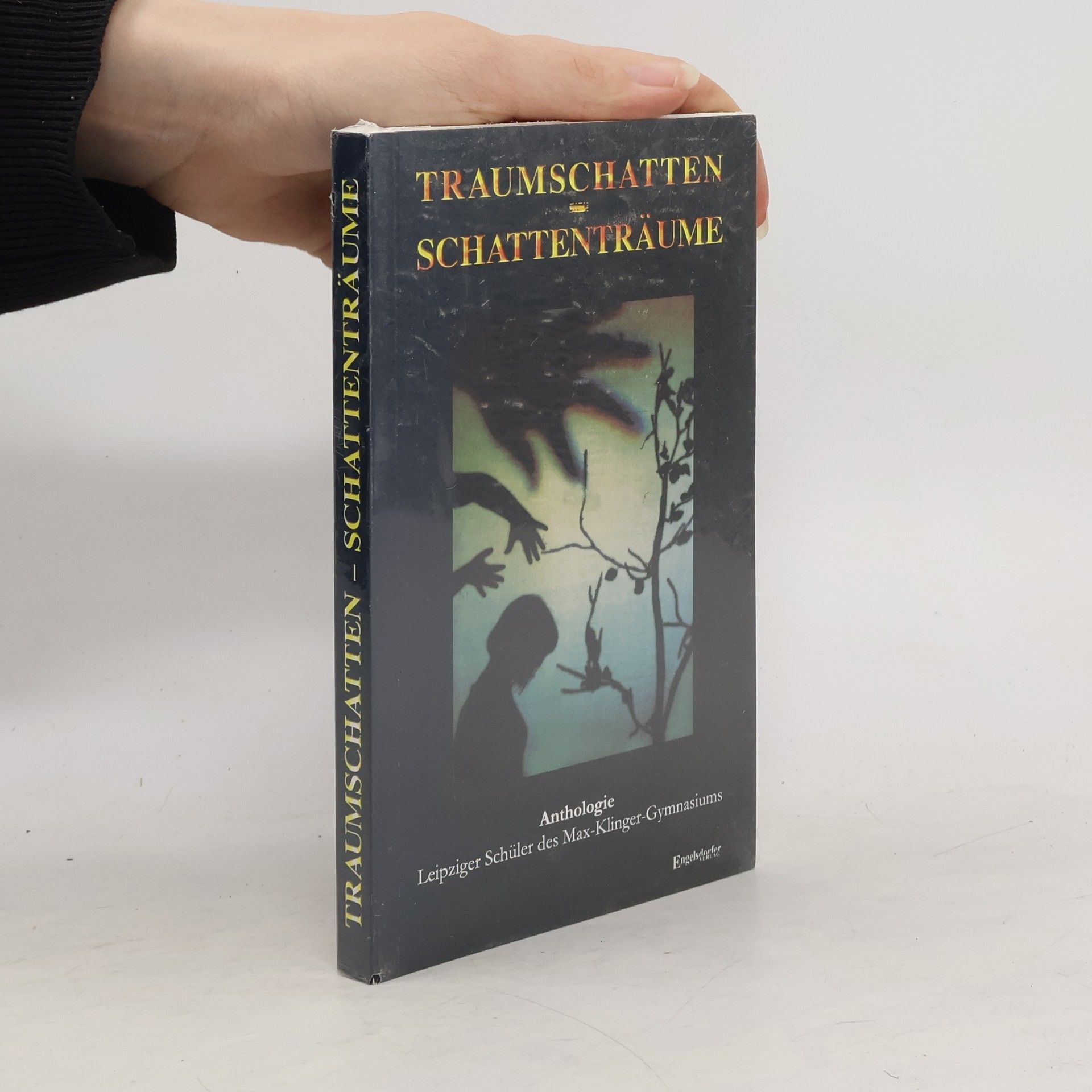 Dorothea Seeber Traumschatten - Schattenträume