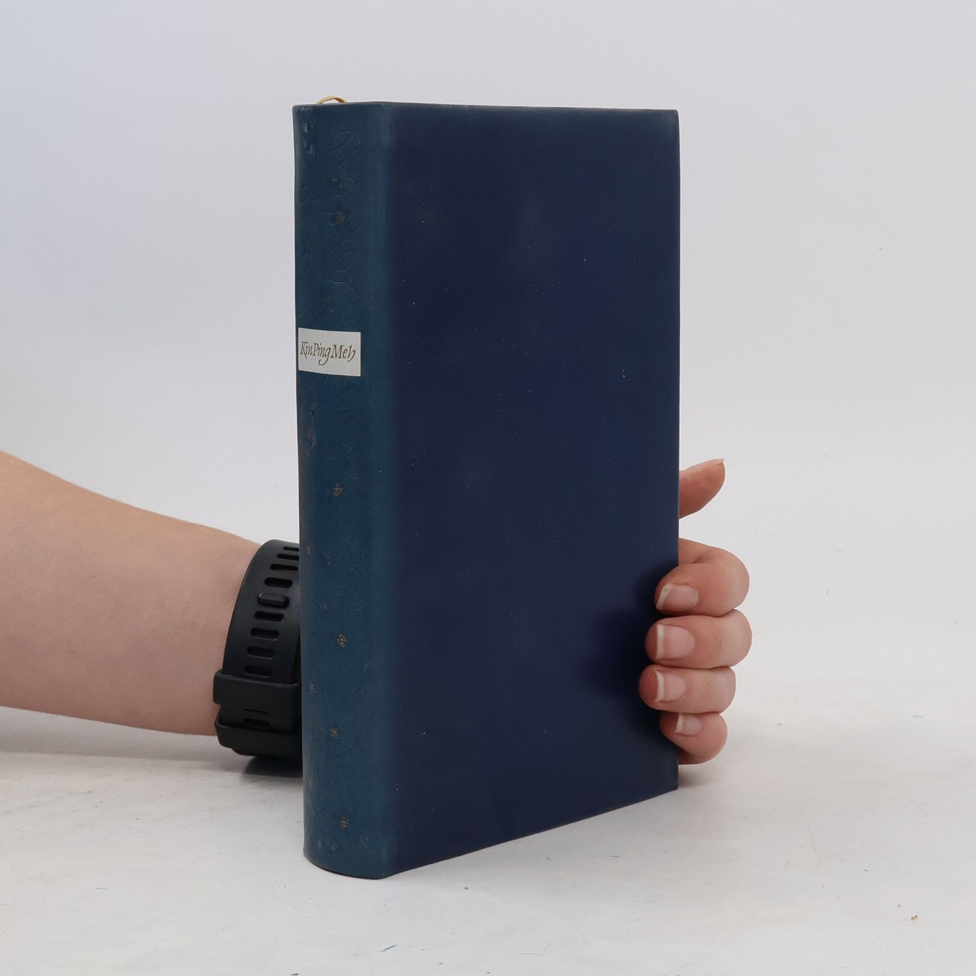 Wang Schi Tschong  Kin Ping Meh