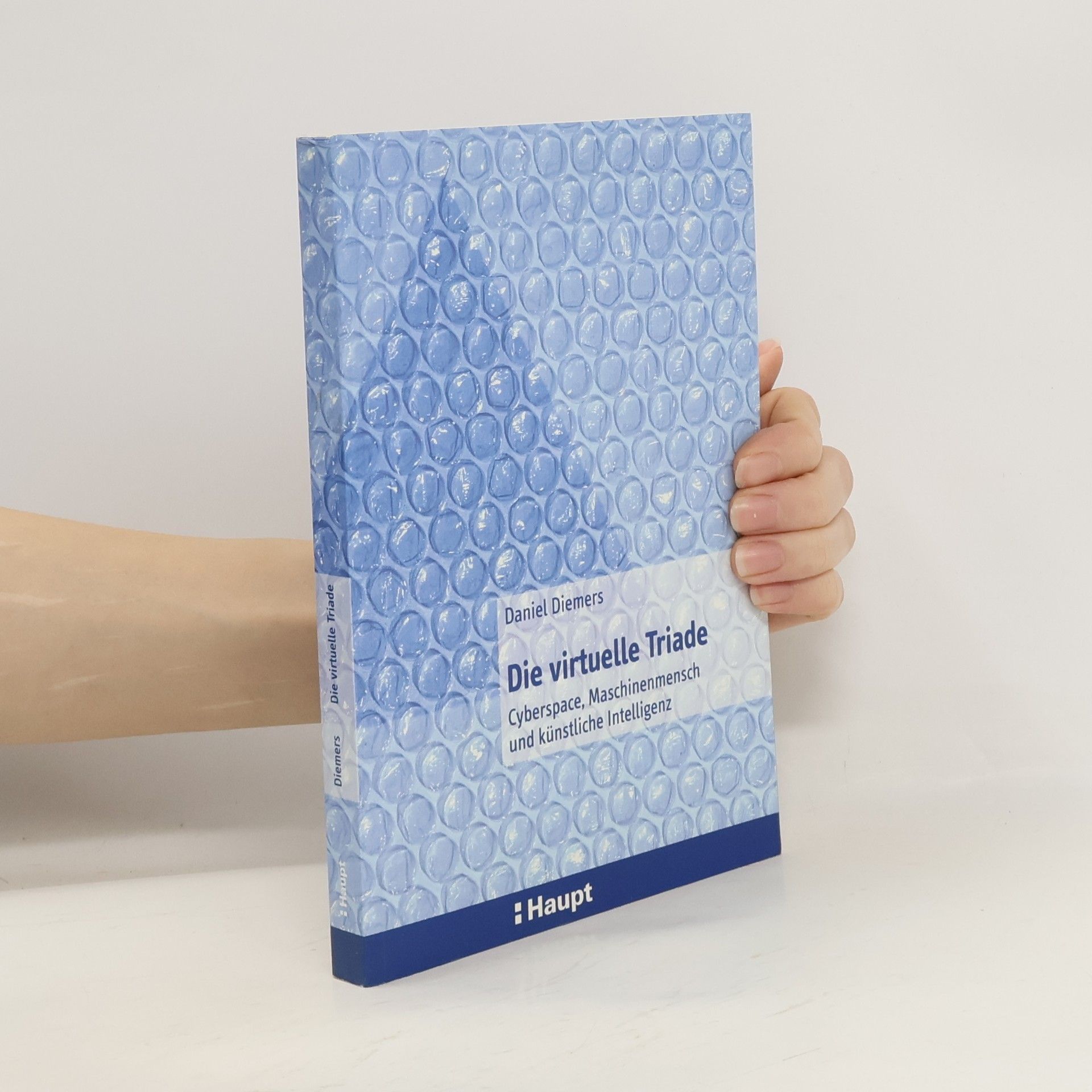 Daniel Diemers Die virtuelle Triade
