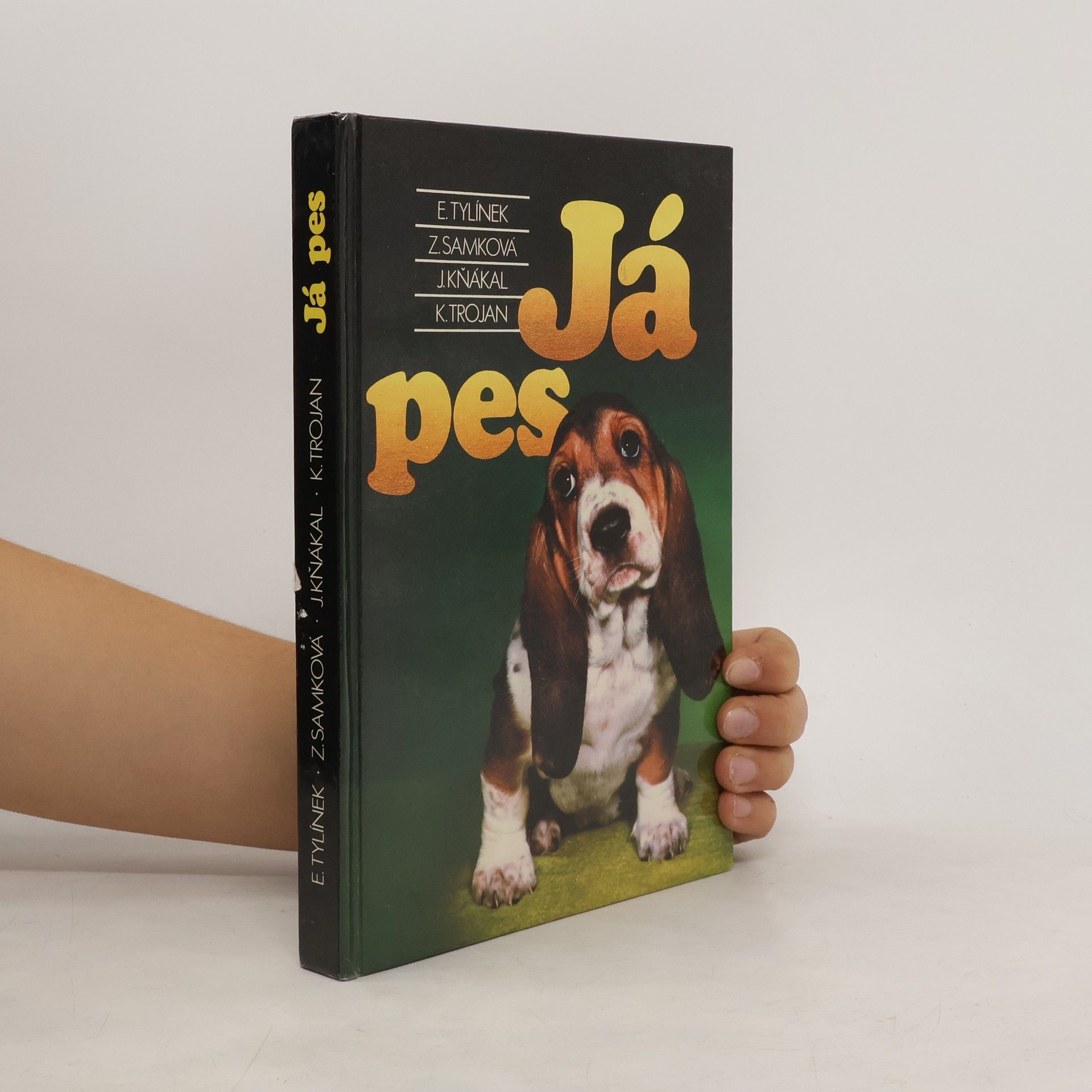 Erich Tylínek Já pes