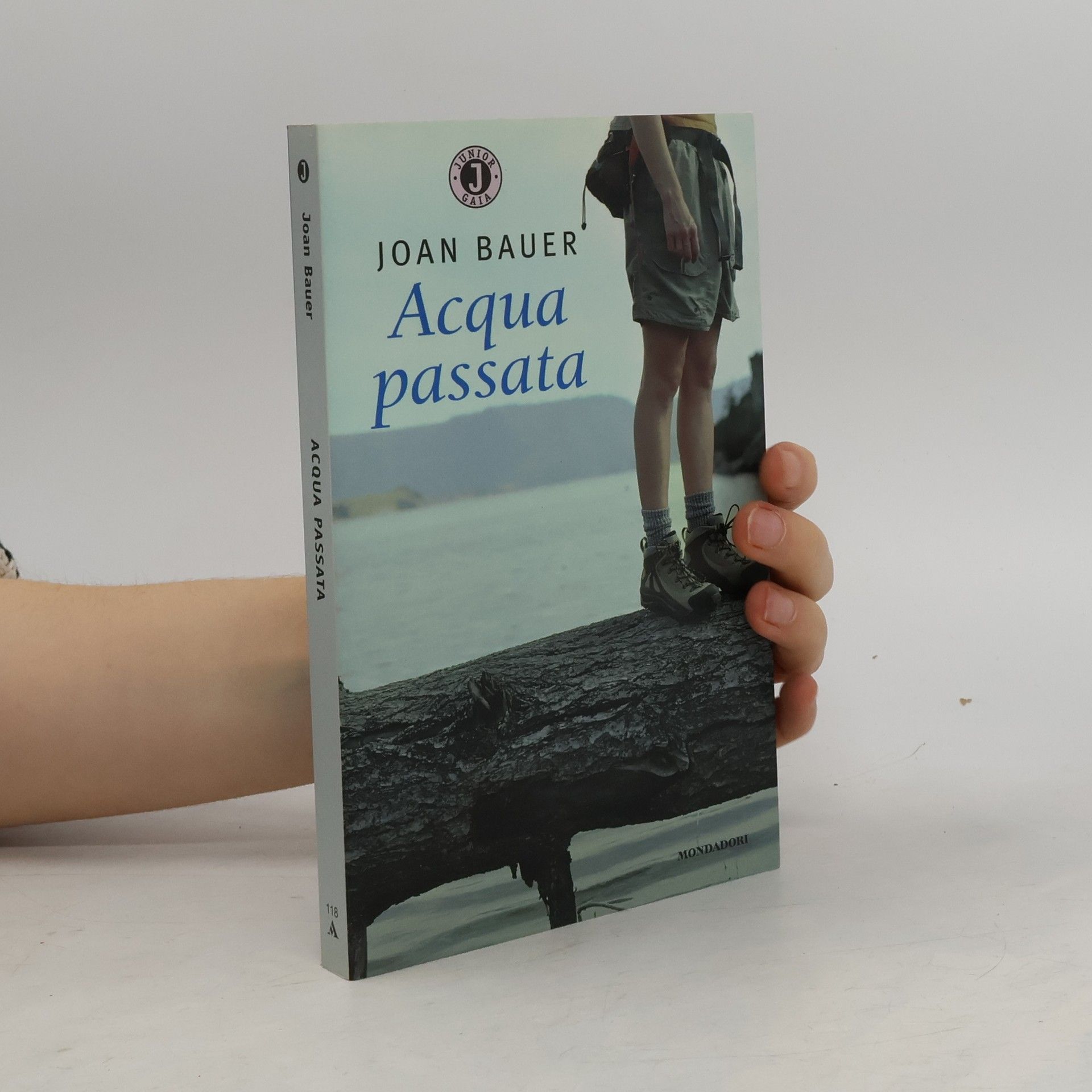 Joan Bauer Acqua passata