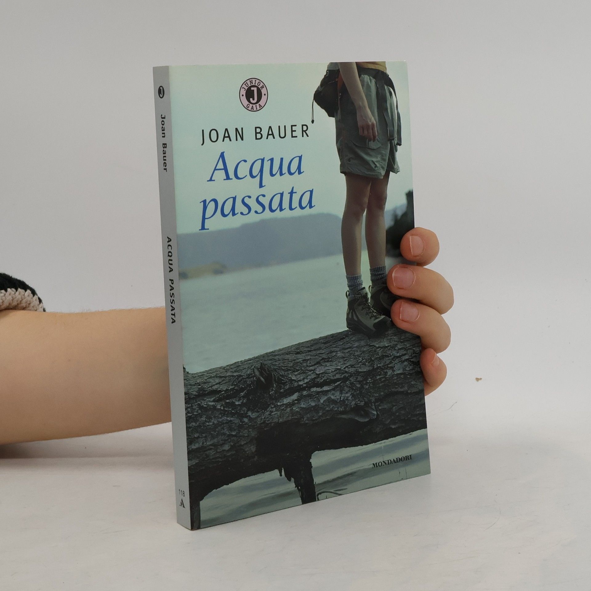 Maria Bastanzetti Acqua passata