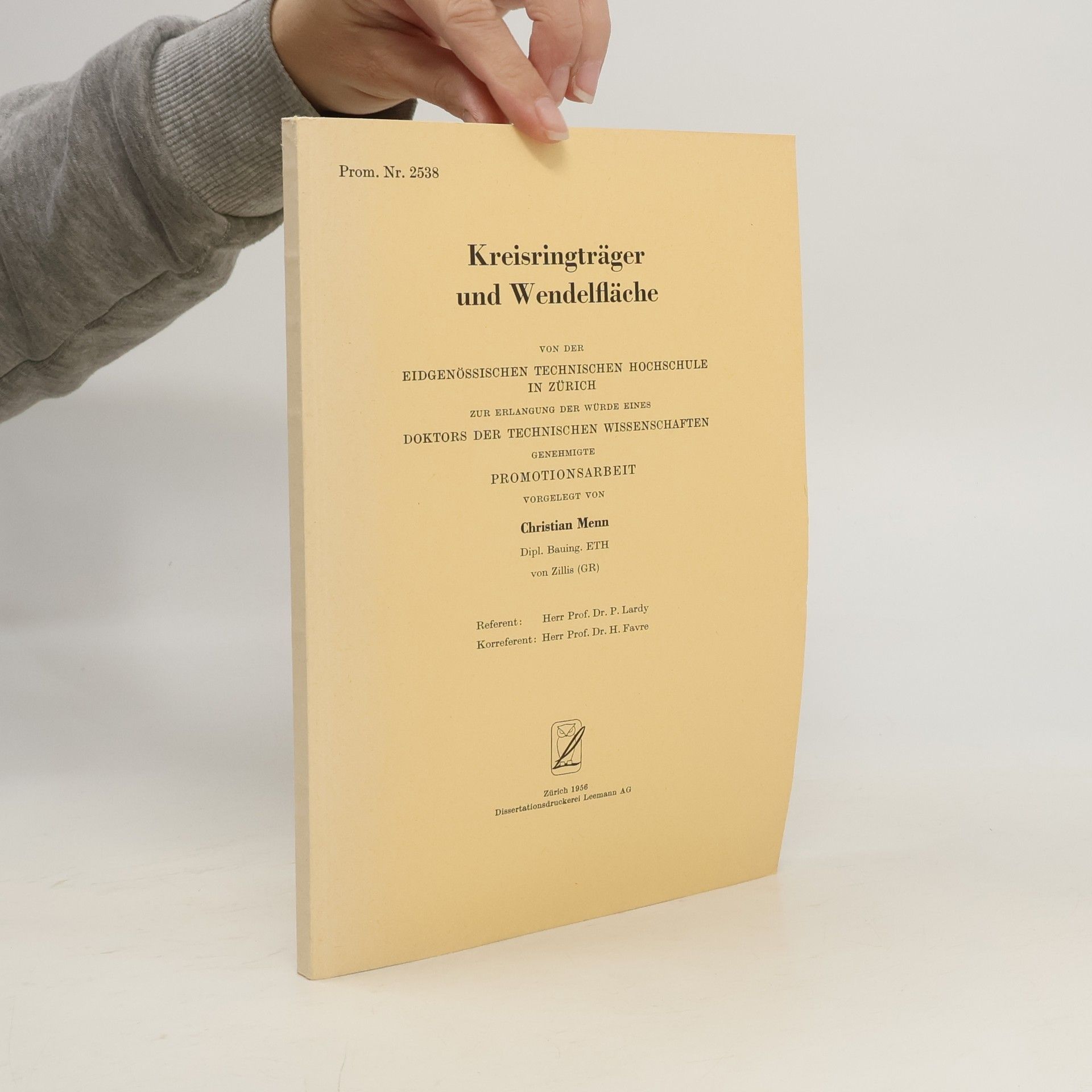 Christian Menn Kreisringträger und Wendelfläche