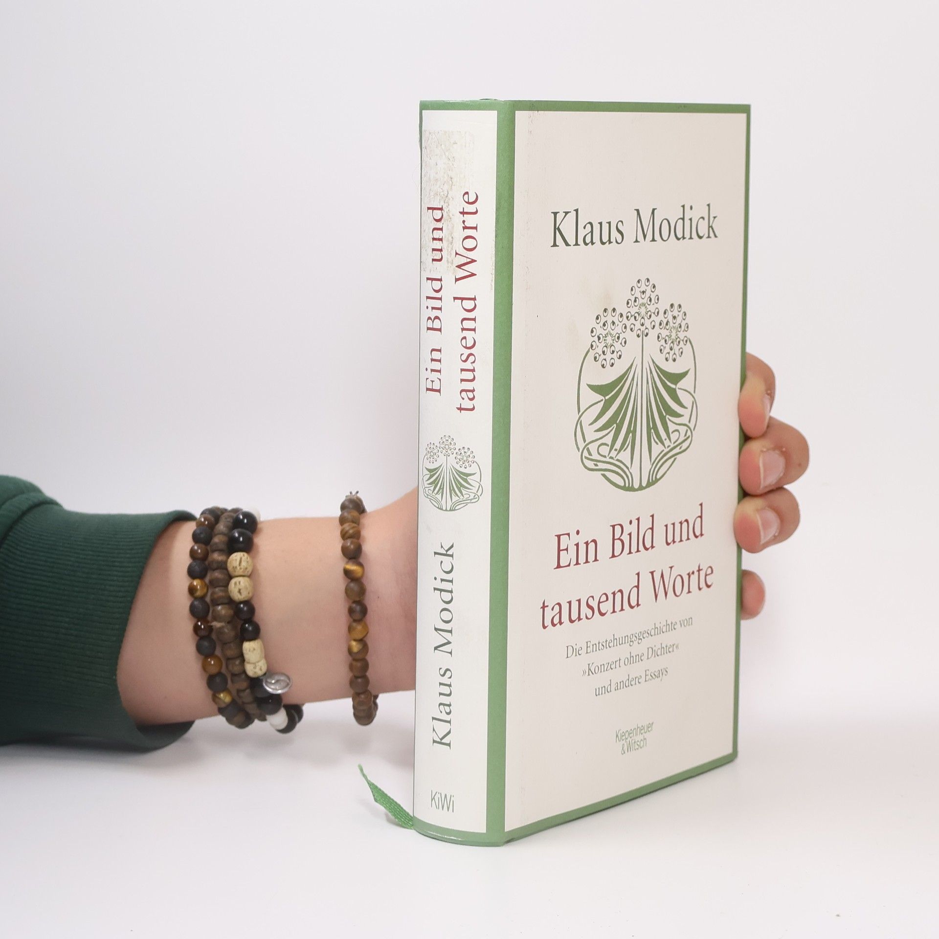 Klaus Modick Ein Bild und tausend Worte