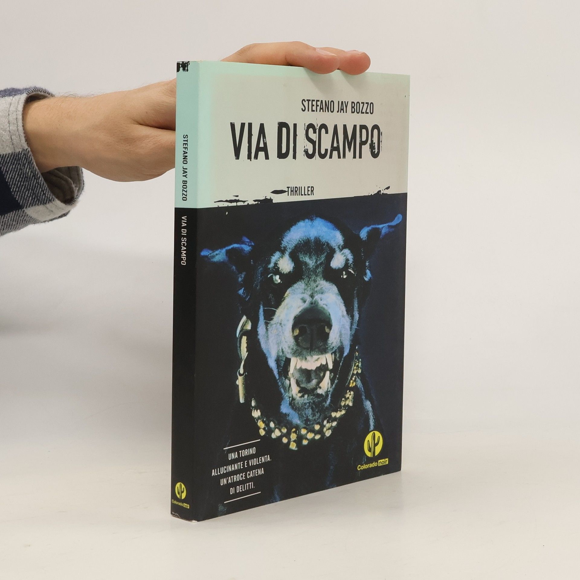 Stefano Jay Bozzo Via di scampo