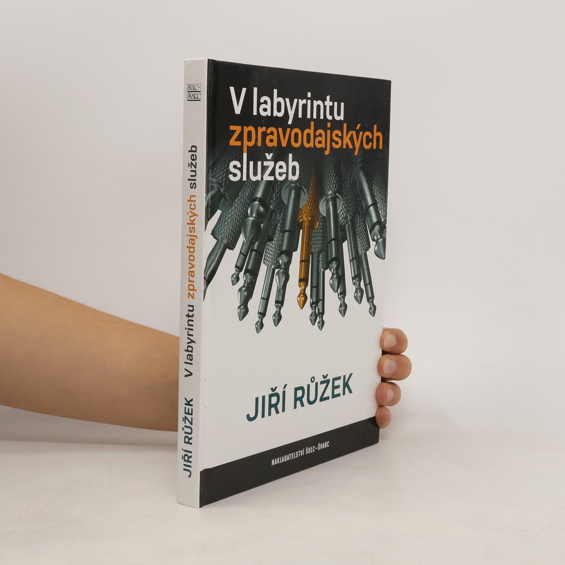 Jiří Růžek V labyrintu zpravodajských služeb