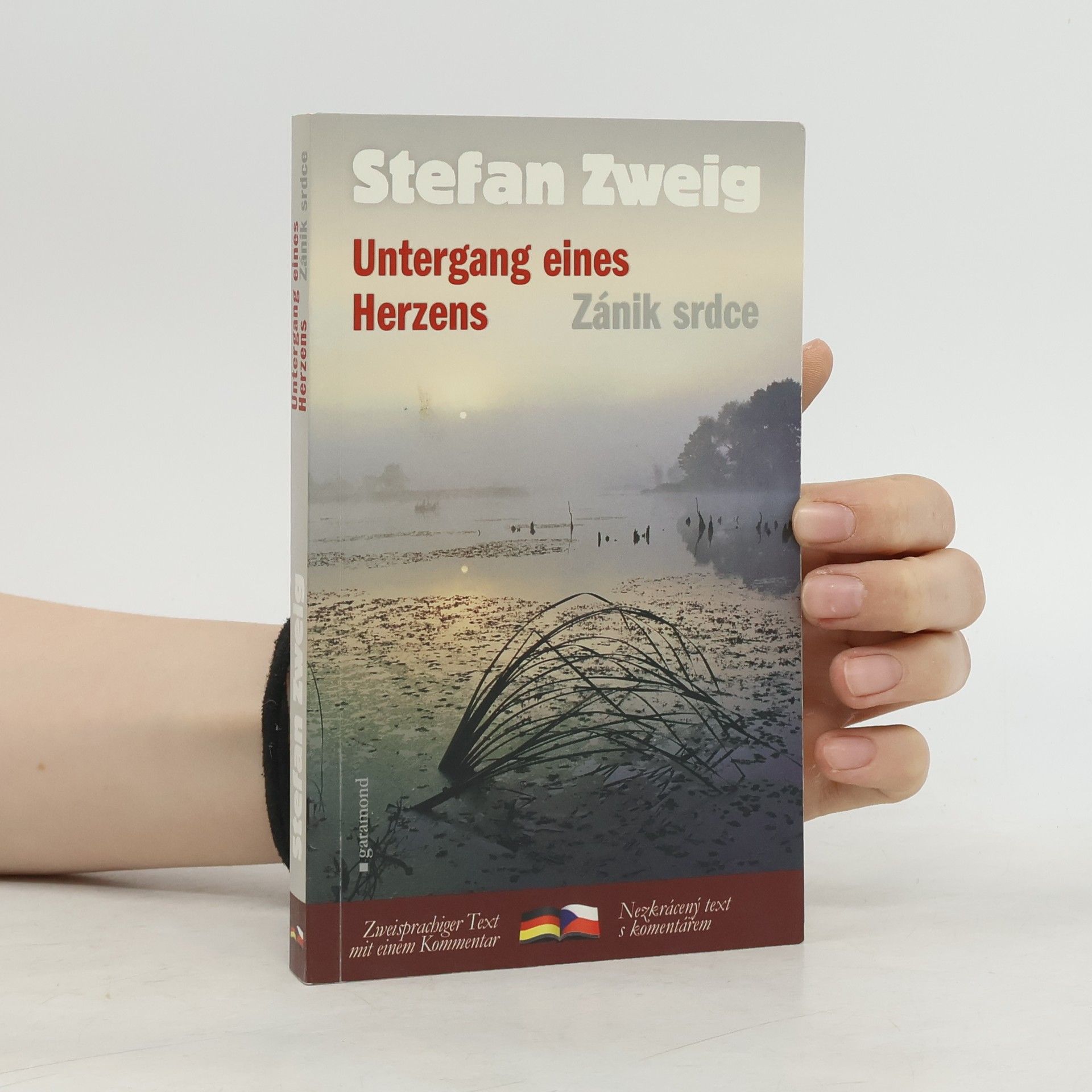 Stefan Zweig Untergang eines Herzens. Zánik srdce