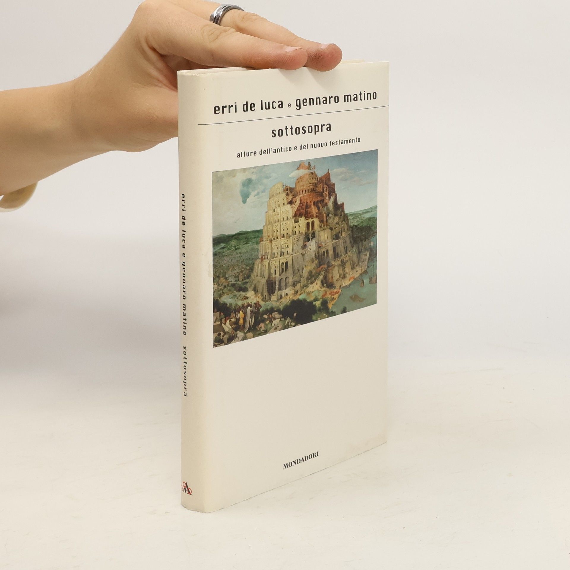 Erri De Luca Sottosopra