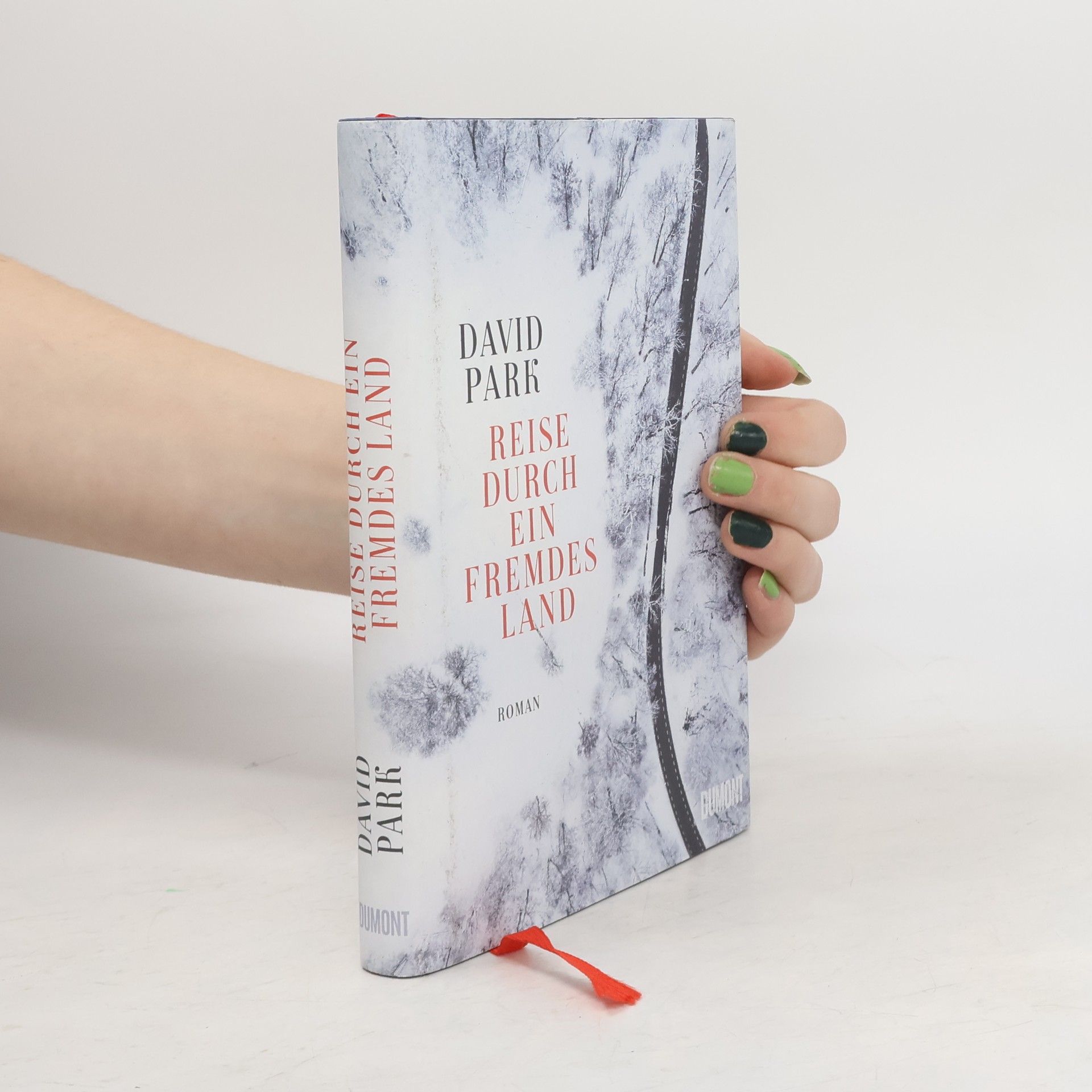 David Park Reise durch ein fremdes Land