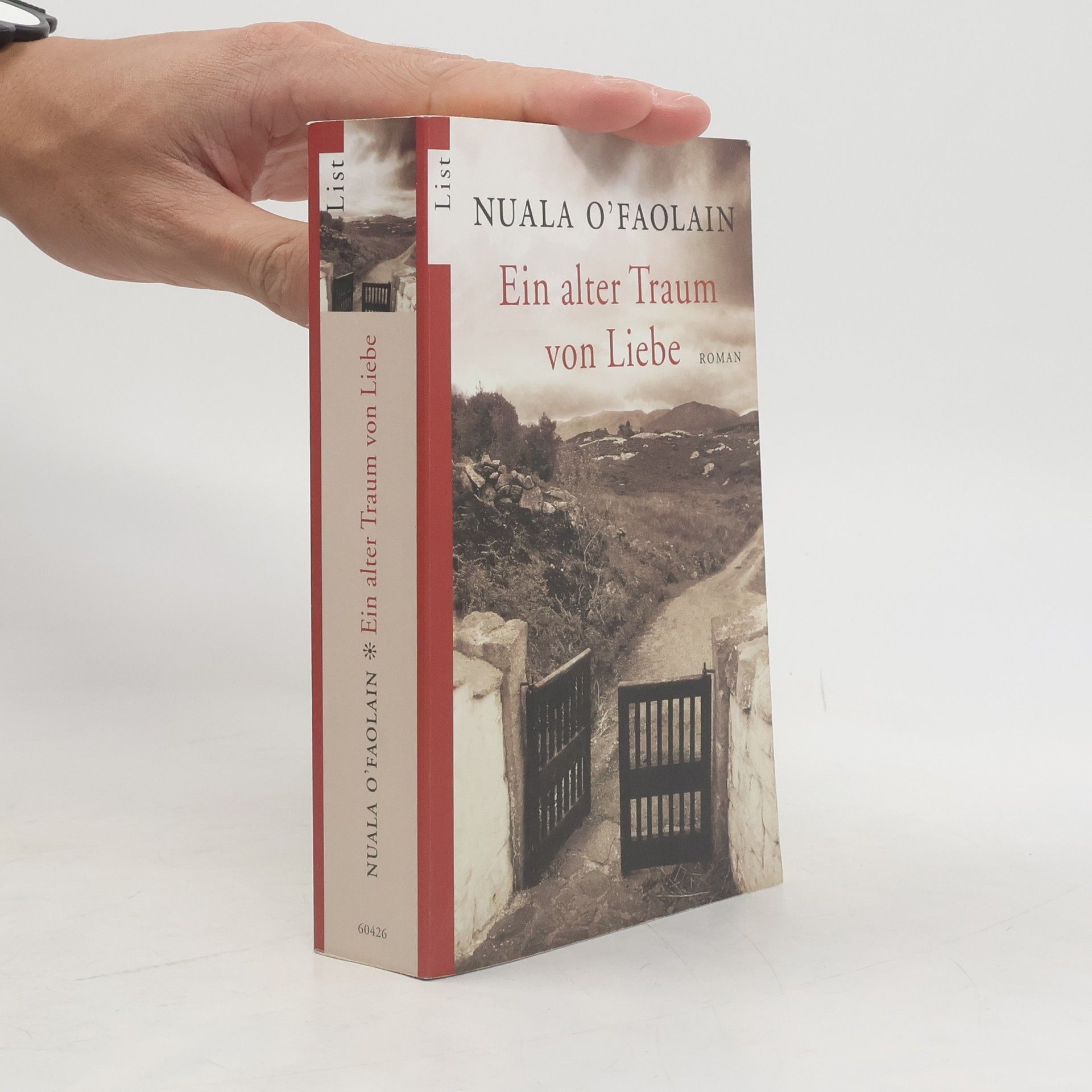 Nuala O. Faolain Ein alter Traum von Liebe