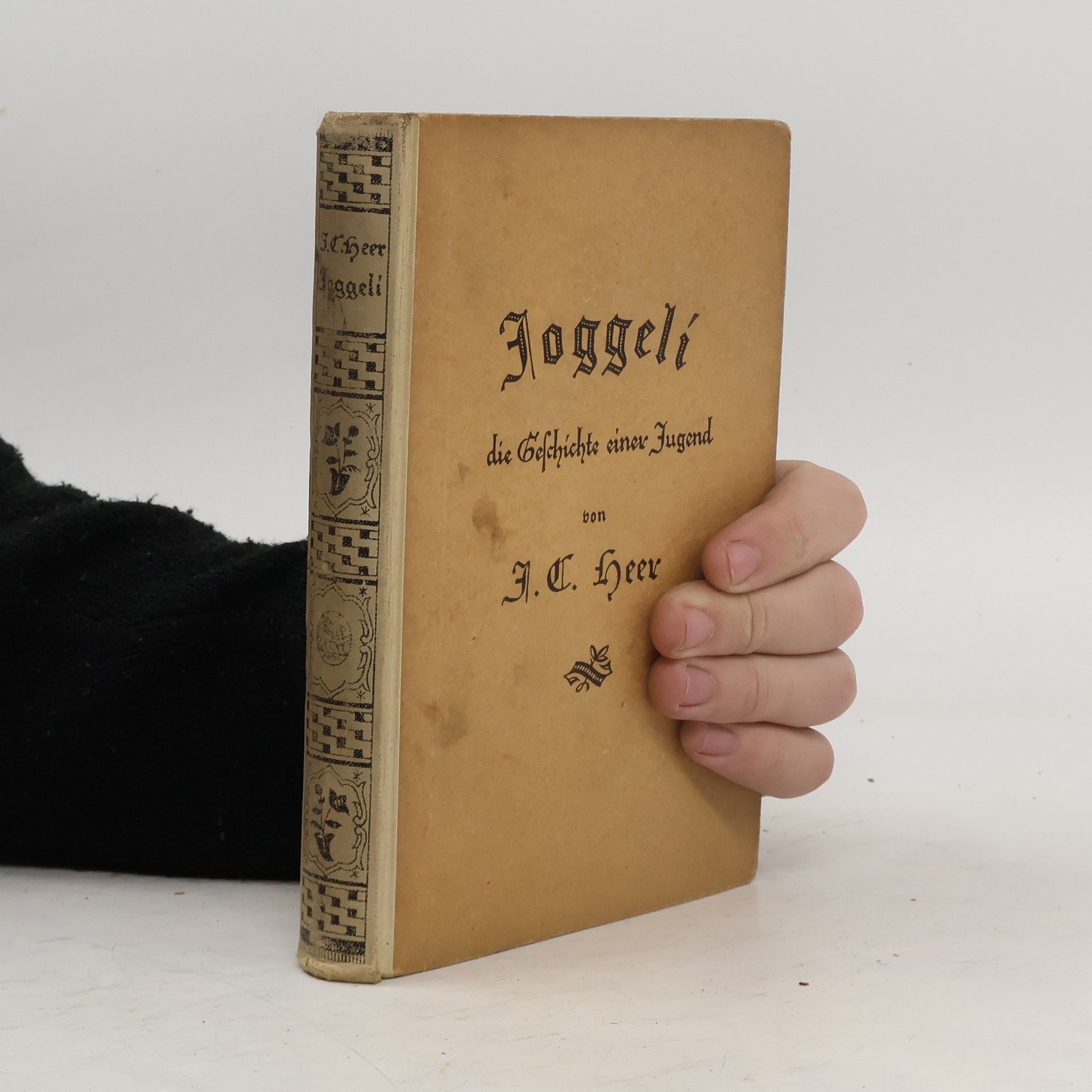 Joggeli: die Geschichte einer Jugend