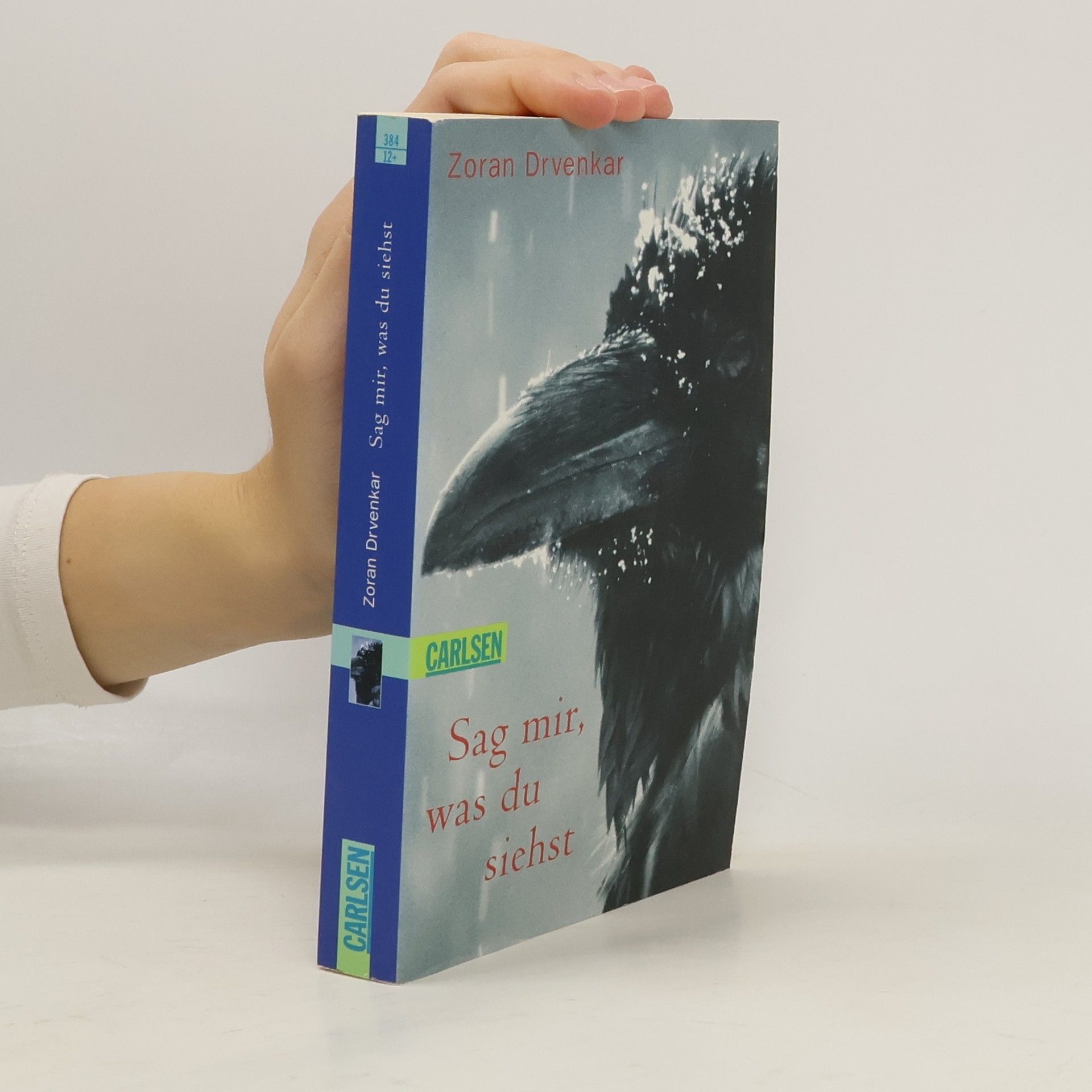 Zoran Drvenkar Sag mir, was du siehst