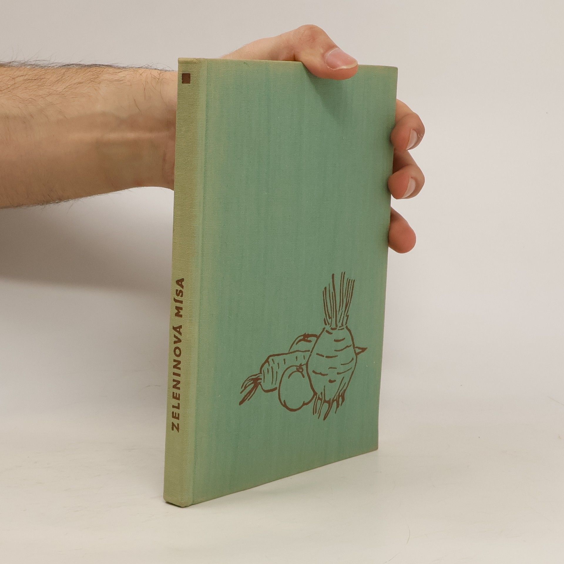 Kolektív autorov Zeleninová mísa