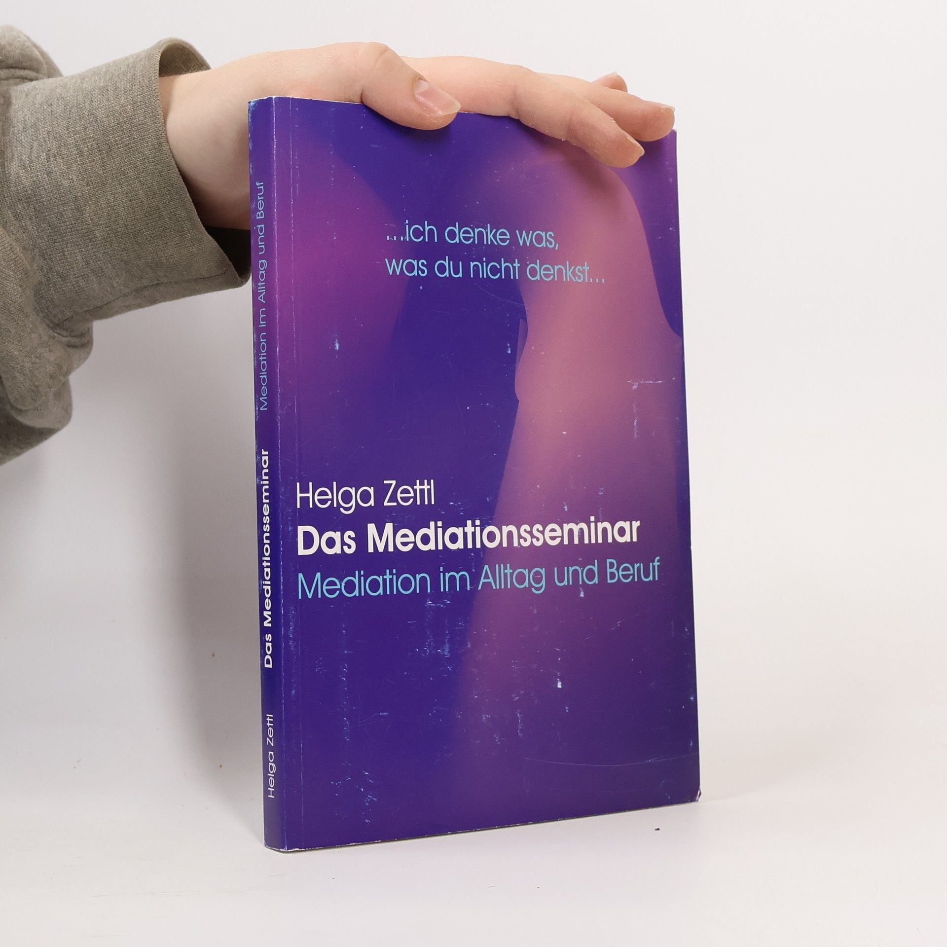 Helga Zettl Das Mediationsseminar: Mediation im Alltag und Beruf