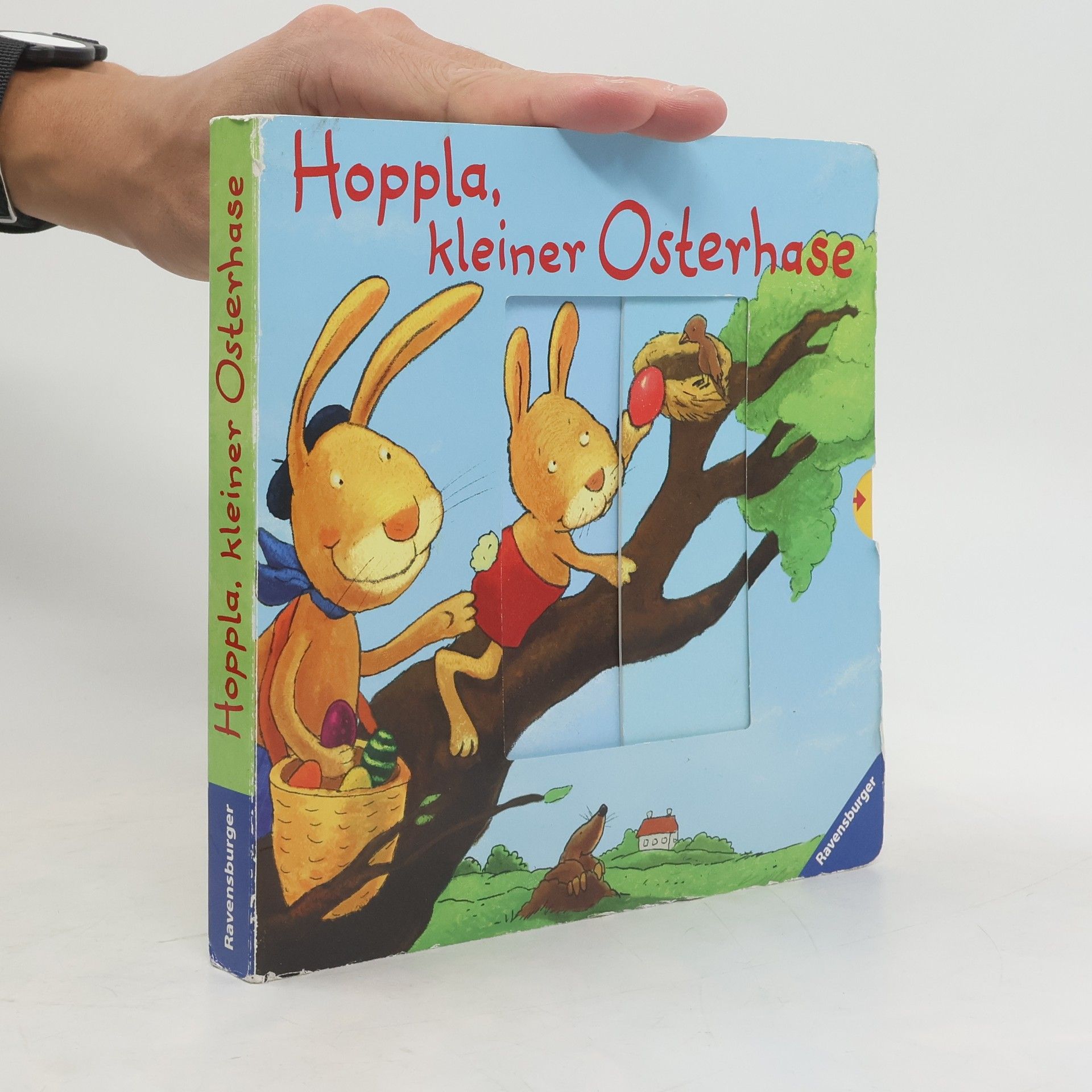 Michael Schober Hoppla, kleiner Osterhase