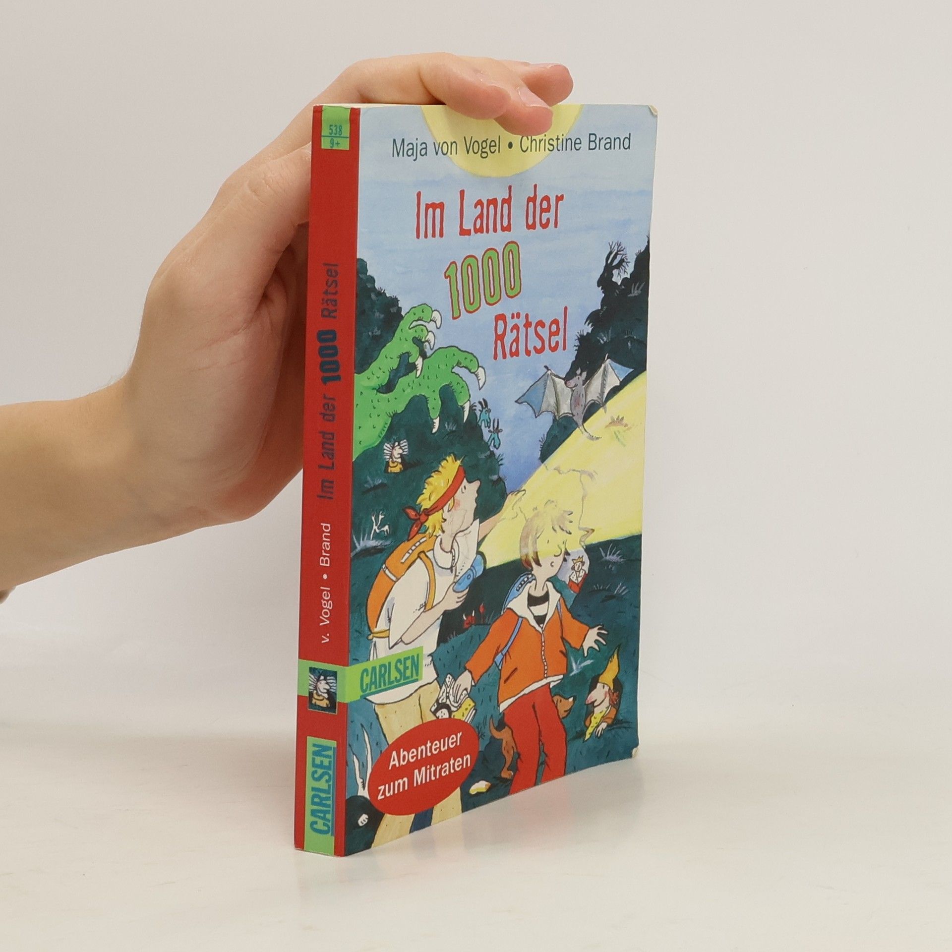 Maja von Vogel Im Land der 1000 Rätsel
