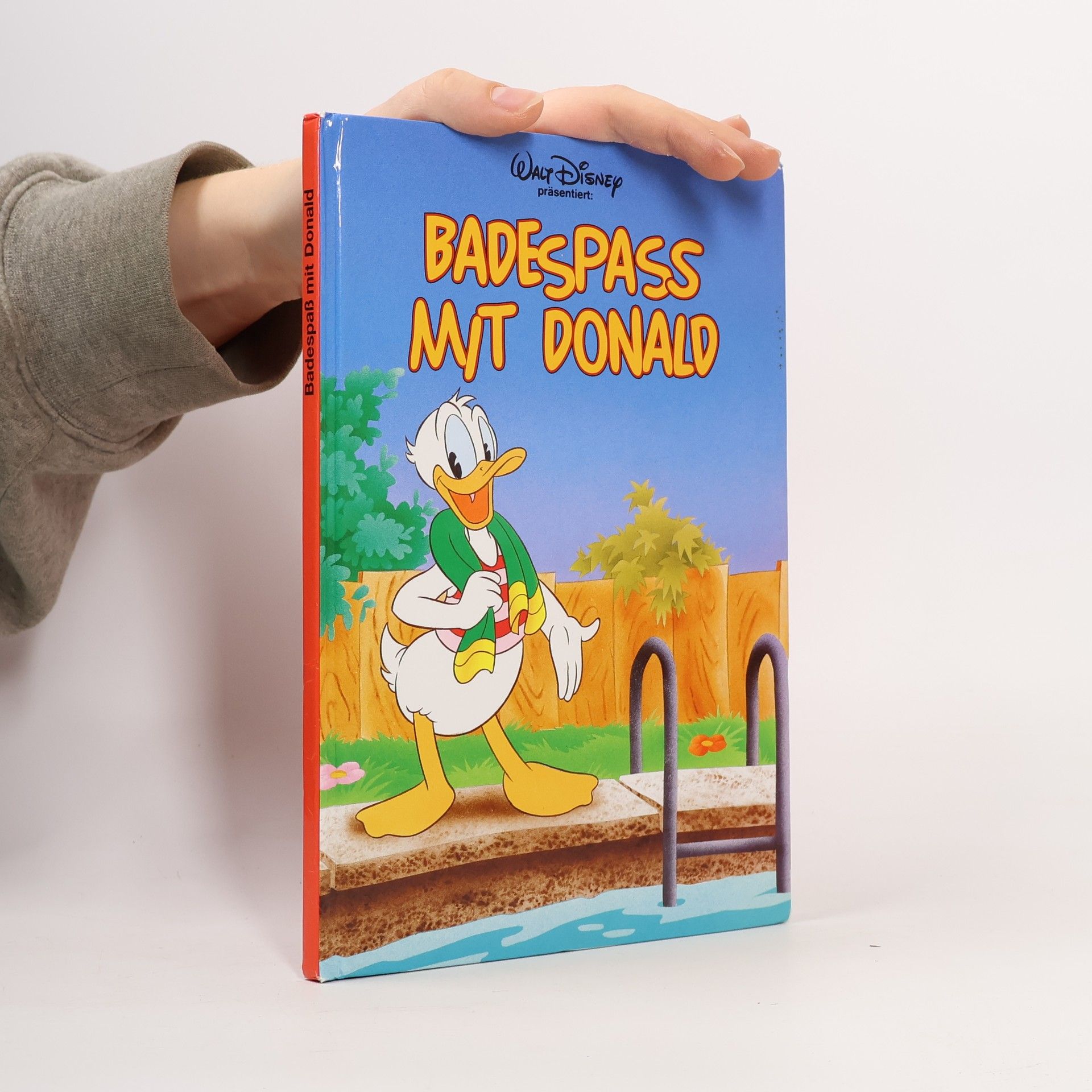 Autorenkollektiv Badespass mit Donald
