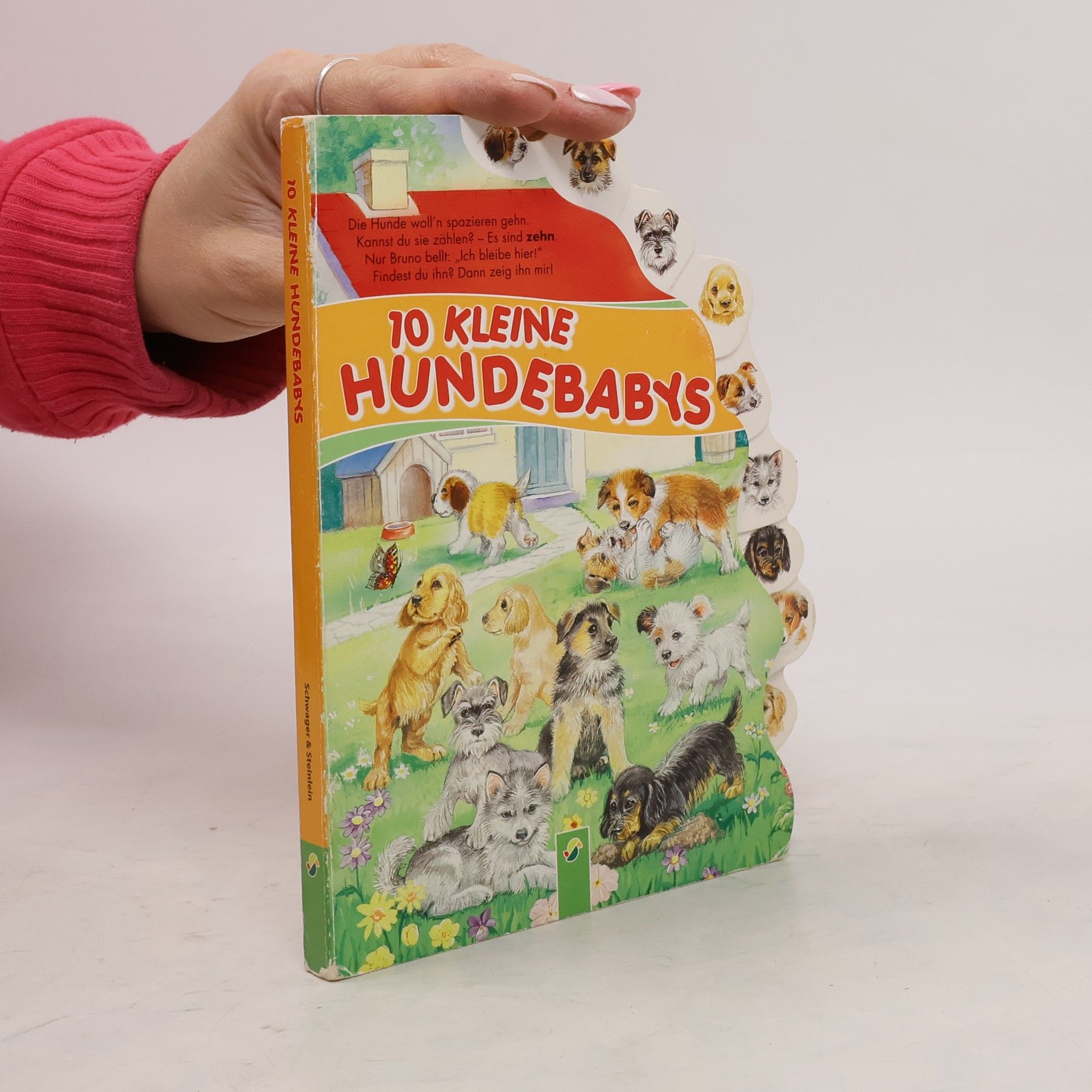 Autorenkollektiv 10 kleine Hundebabys