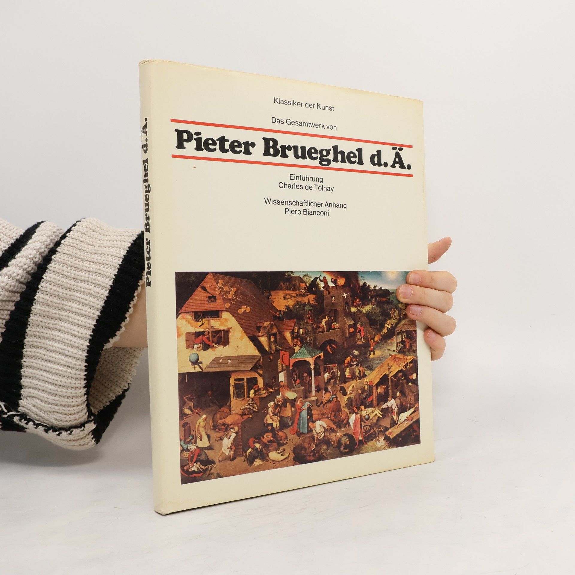 Collectif d'auteurs Pieter Bruegel d.Ä.