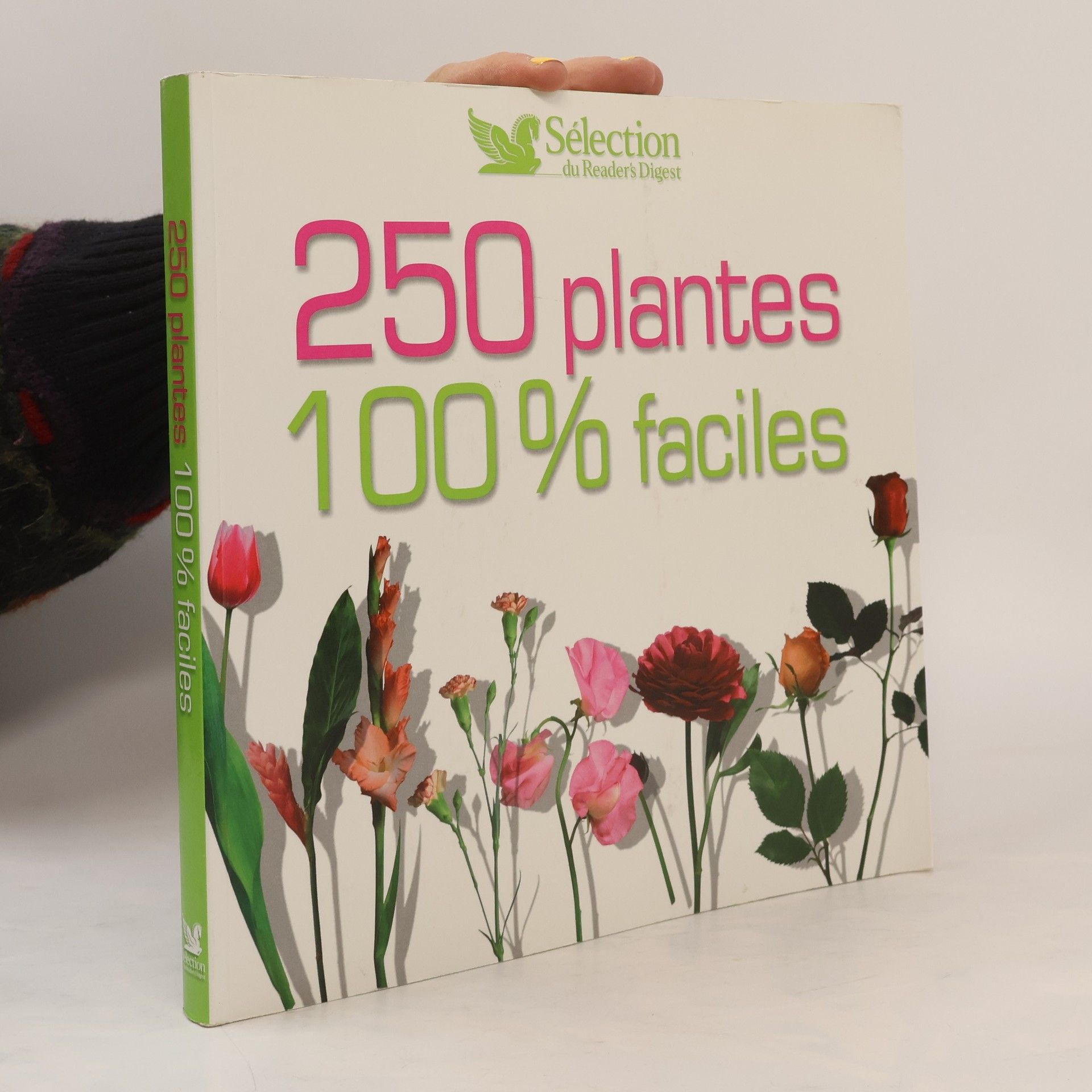 Jeanne Bonême 250 plantes. 100% faciles